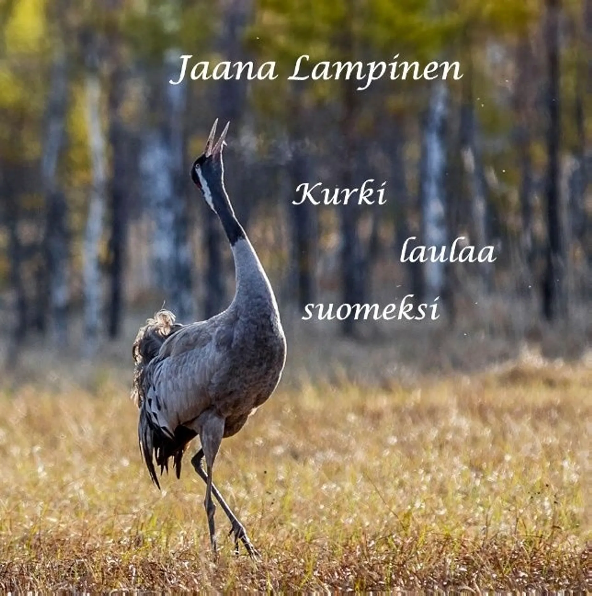 Lampinen, Kurki laulaa suomeksi