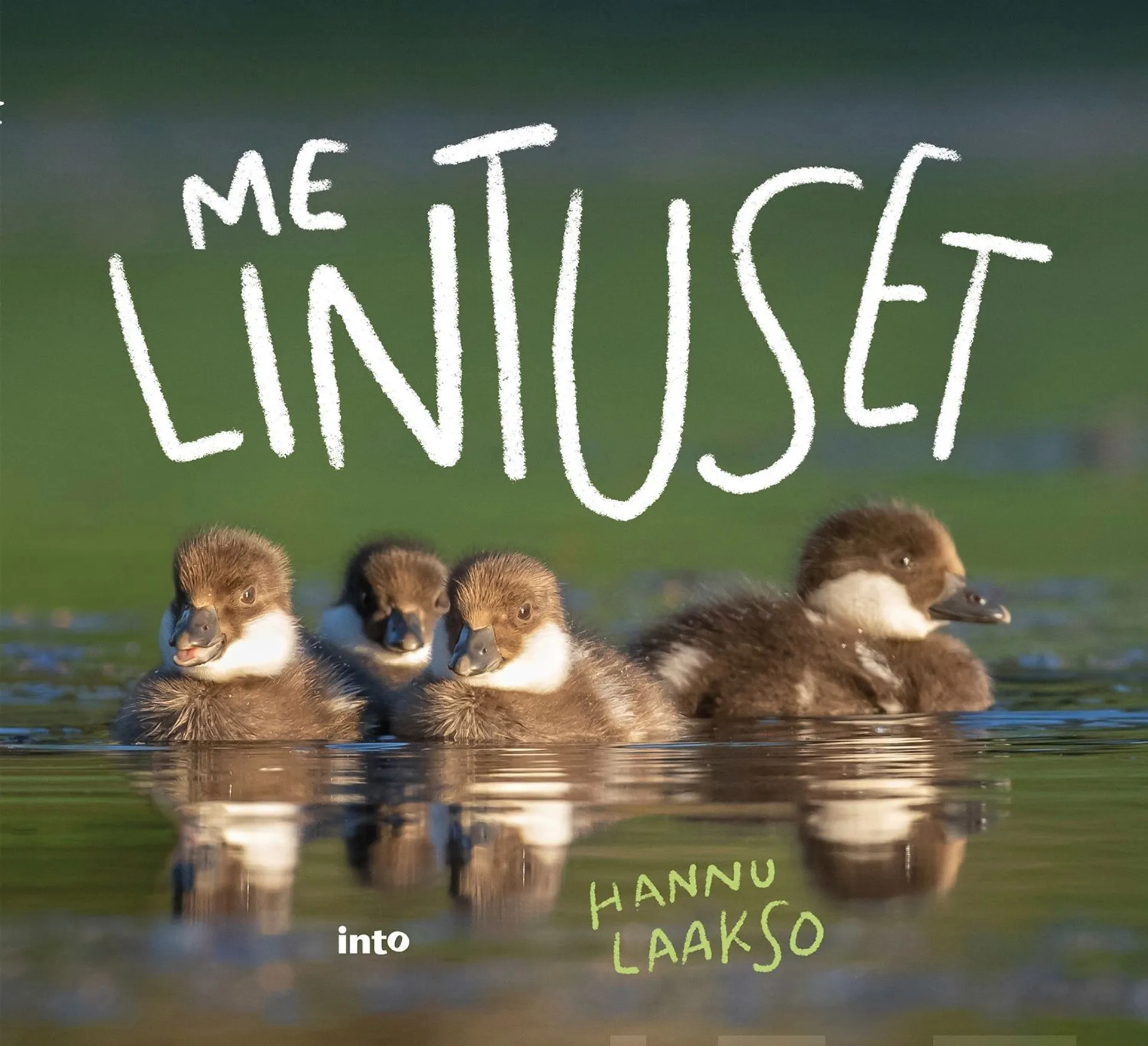 Laakso, Me Lintuset