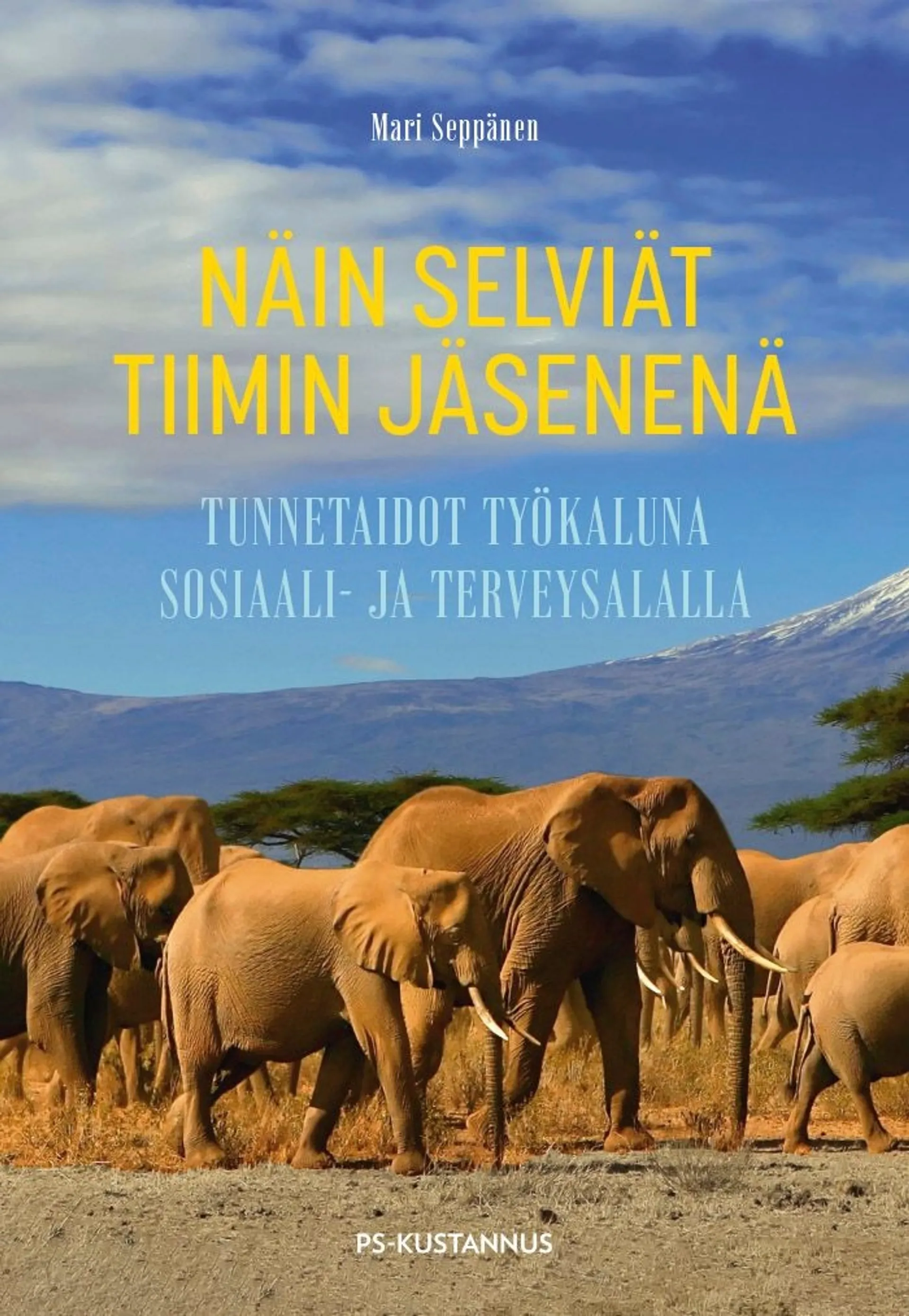 Seppänen, Näin selviät tiimin jäsenenä - Tunnetaidot työkaluna sosiaali- ja terveysalalla