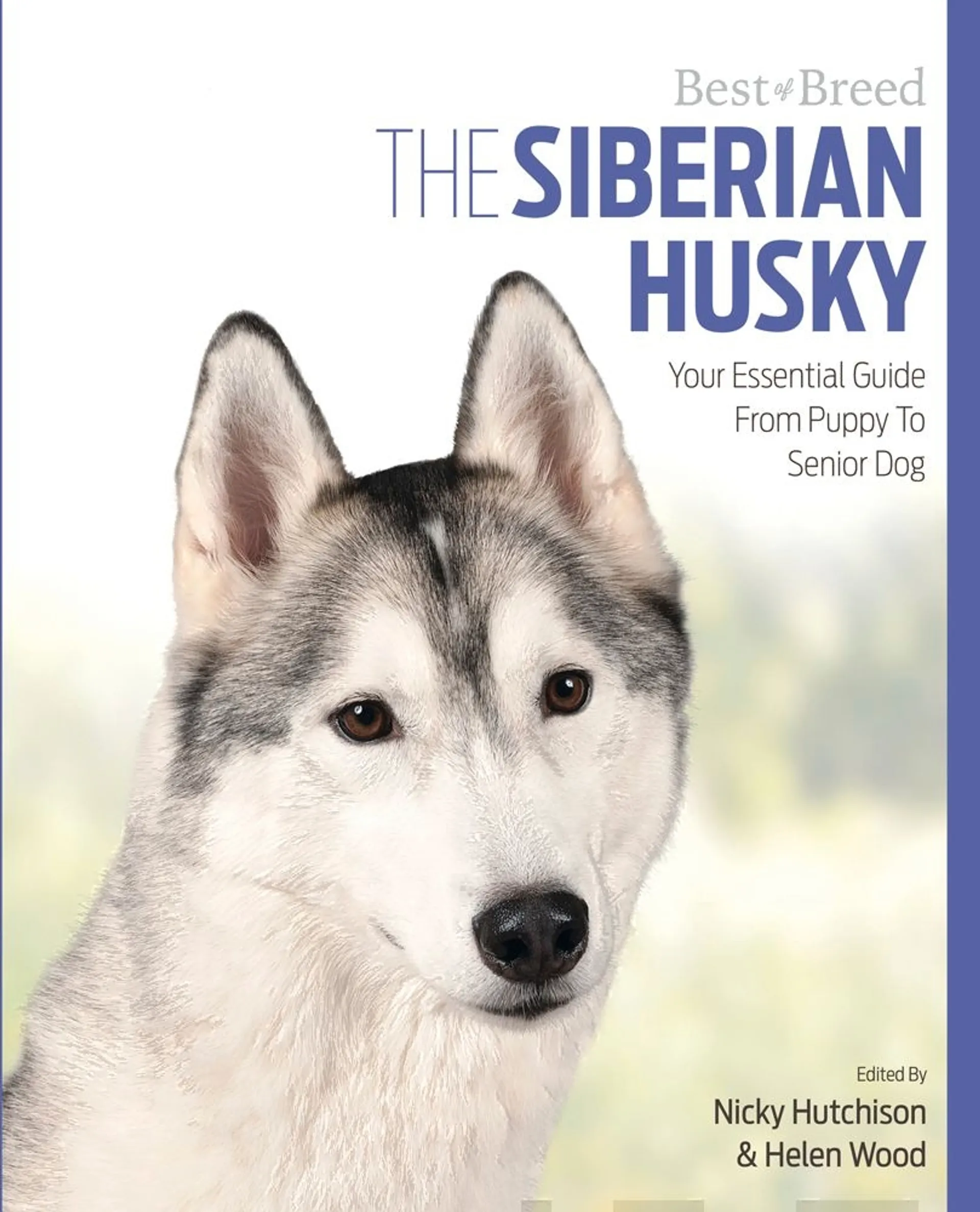 Hutchison, The Siberian Huskey - Your Essential Guide From Puppy to Senior Dog