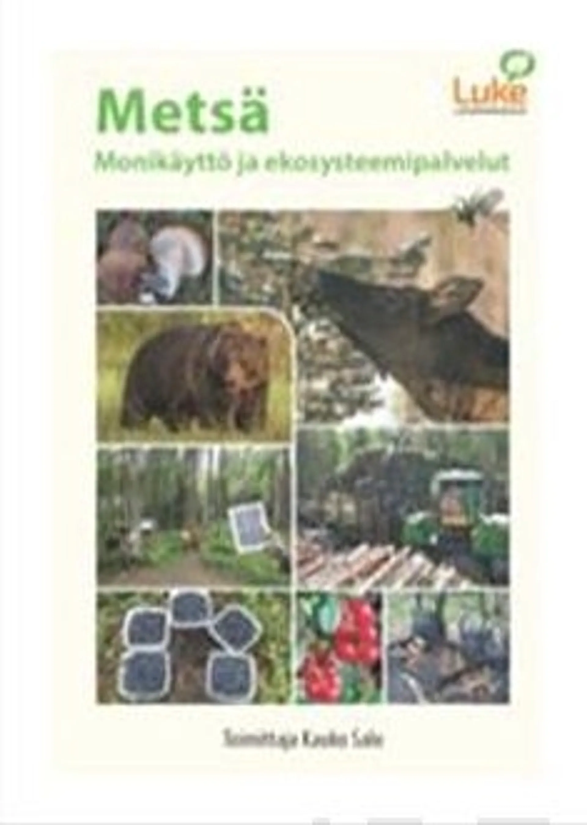 Metsä - Monikäyttö ja ekosysteemipalvelut