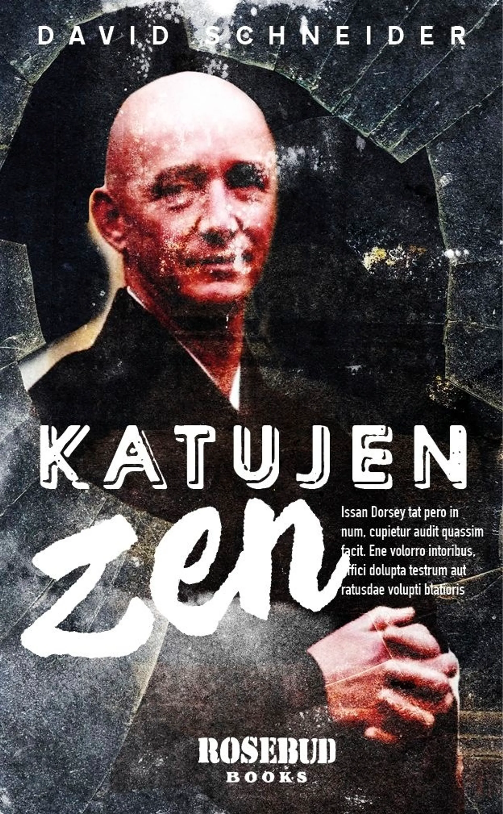 David Schneider, Katujen zen