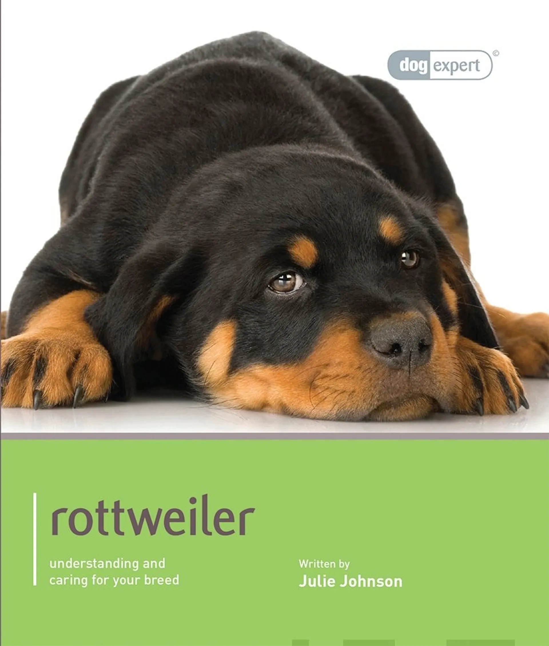 Clark, Rottweiler - Understanding and caring for your breed