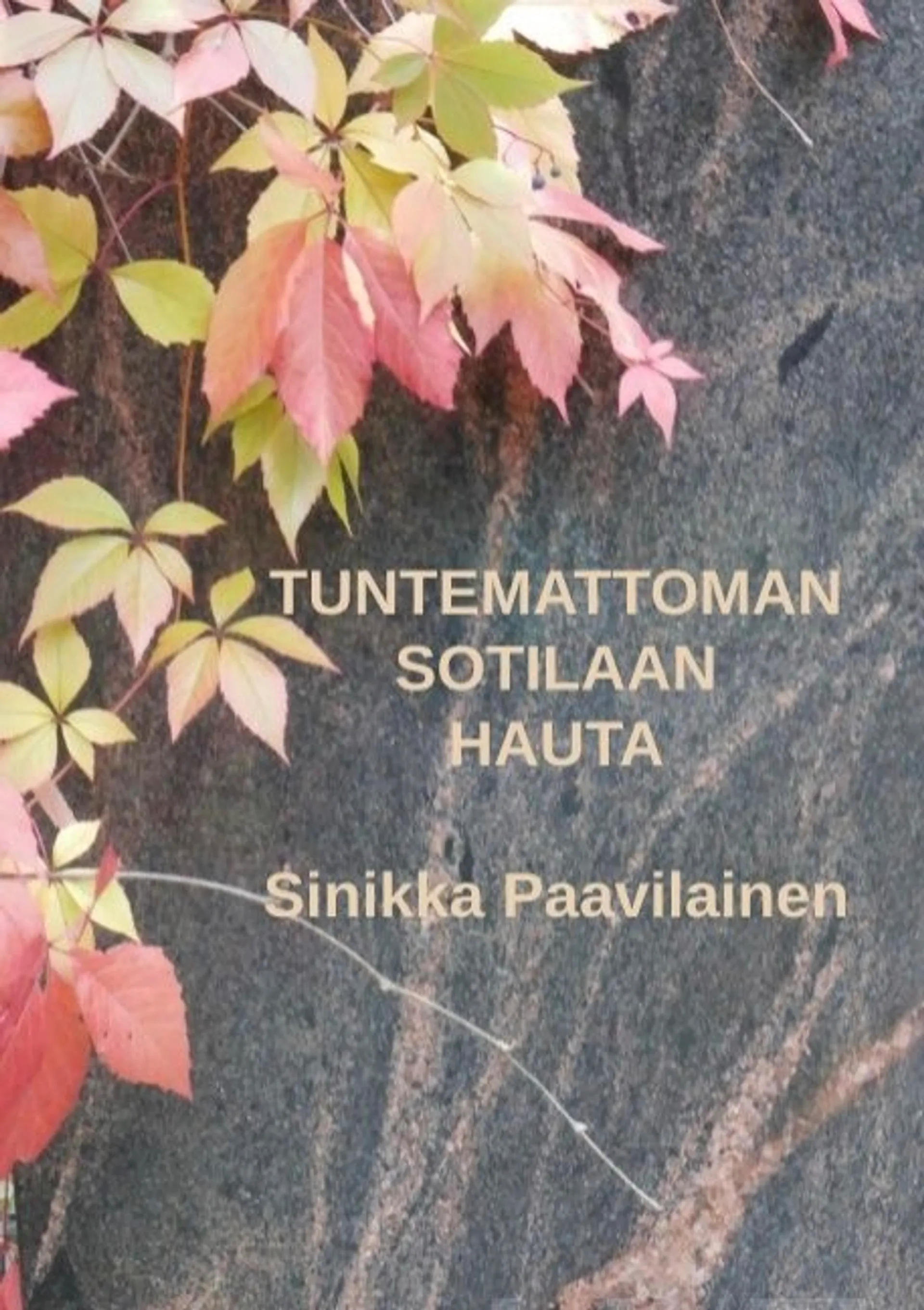 Paavilainen, Tuntemattoman Sotilaan Hauta