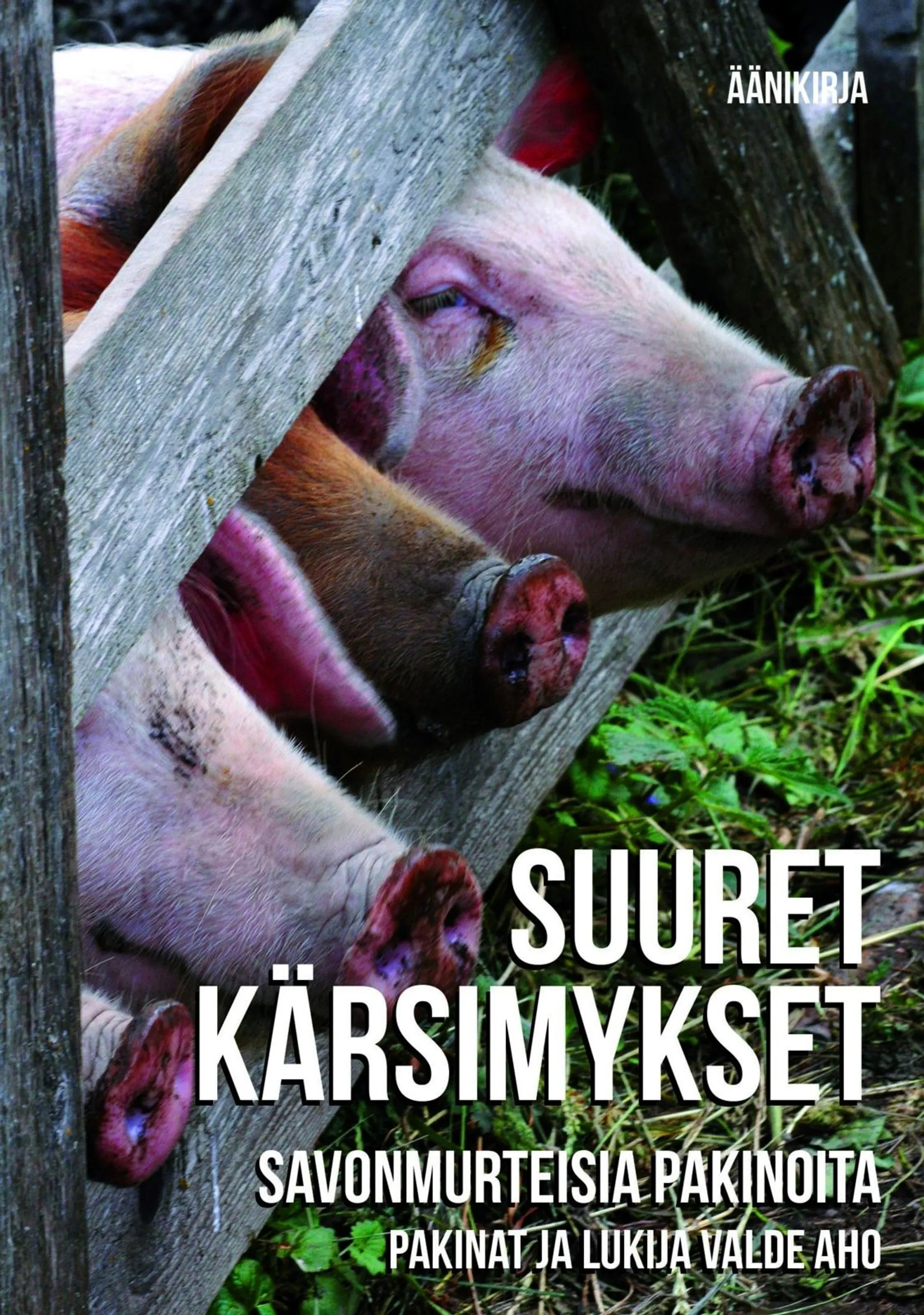 Aho, Suuret kärsimykset (cd) - Savonmurteisia pakinoita