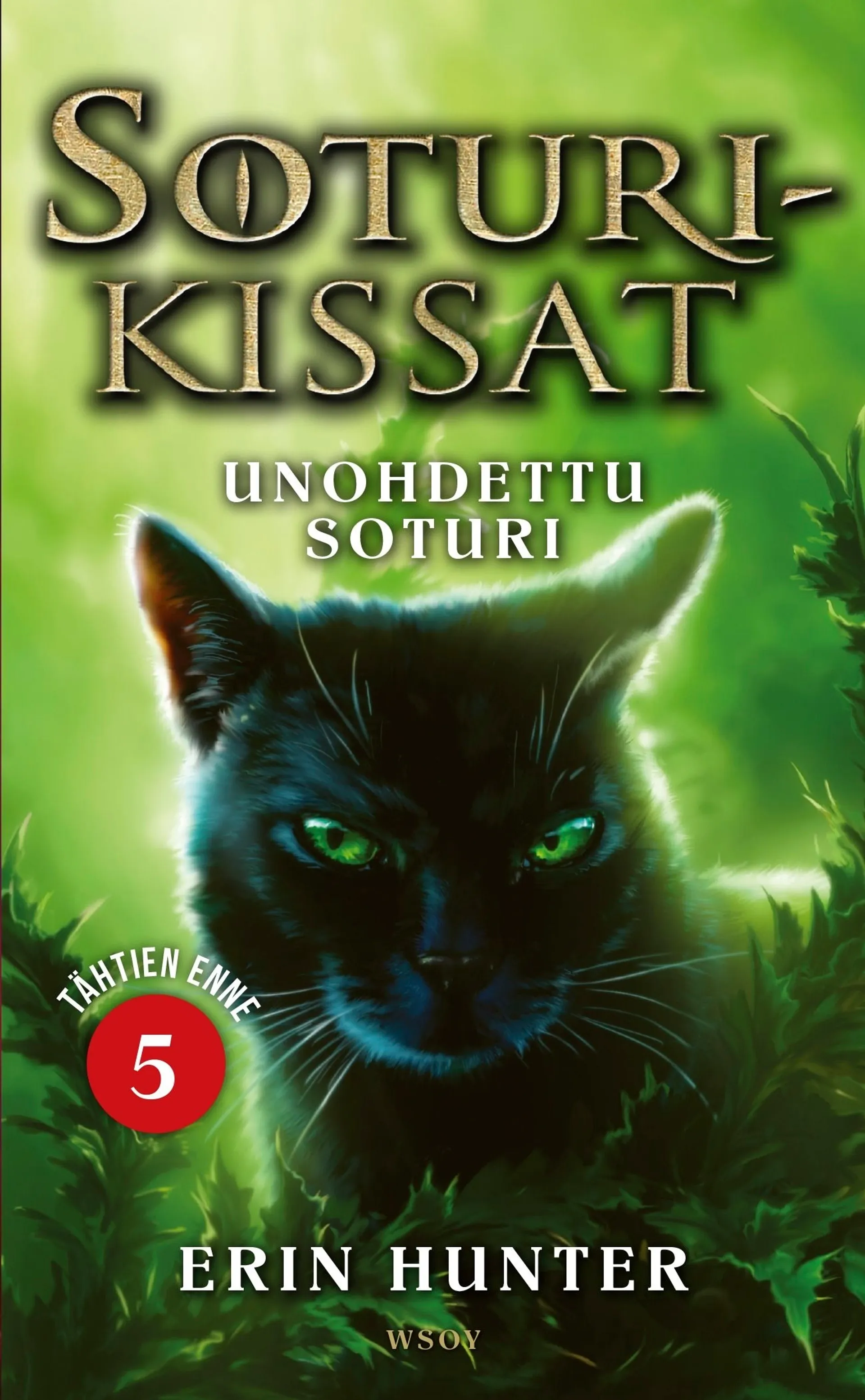 Hunter, Soturikissat: Tähtien enne 5: Unohdettu soturi