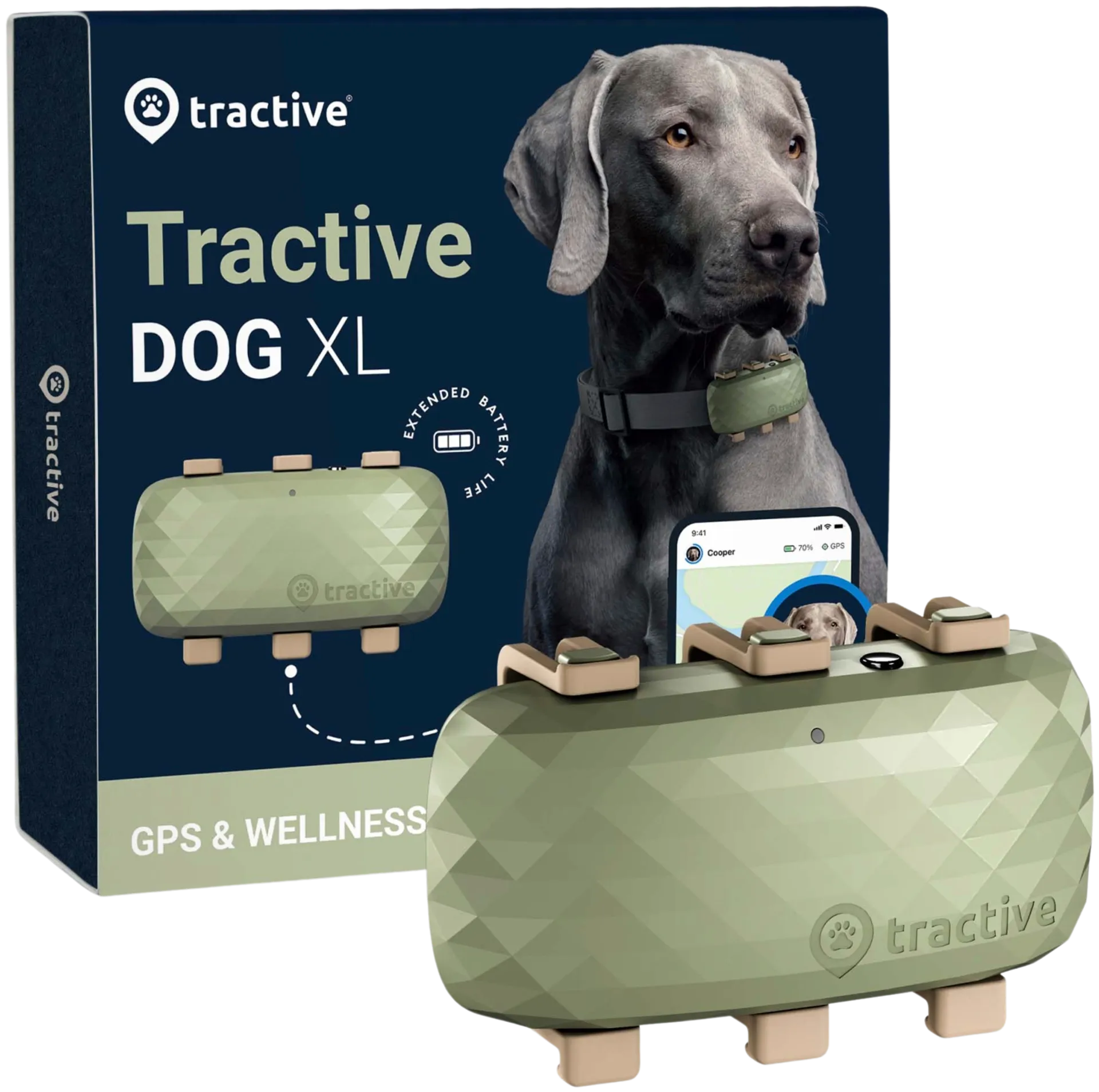 Tractive koira XL 4G GPS/aktiivisuuskaulapanta - 1