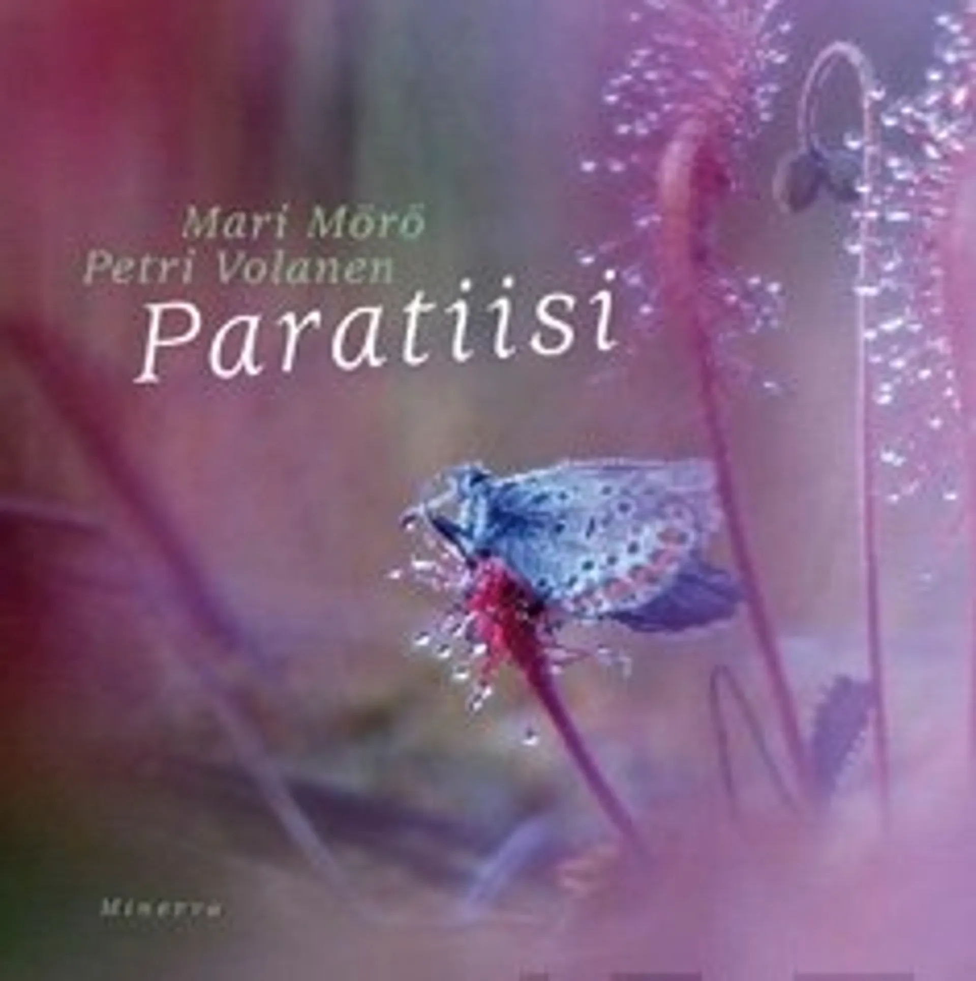 Paratiisi