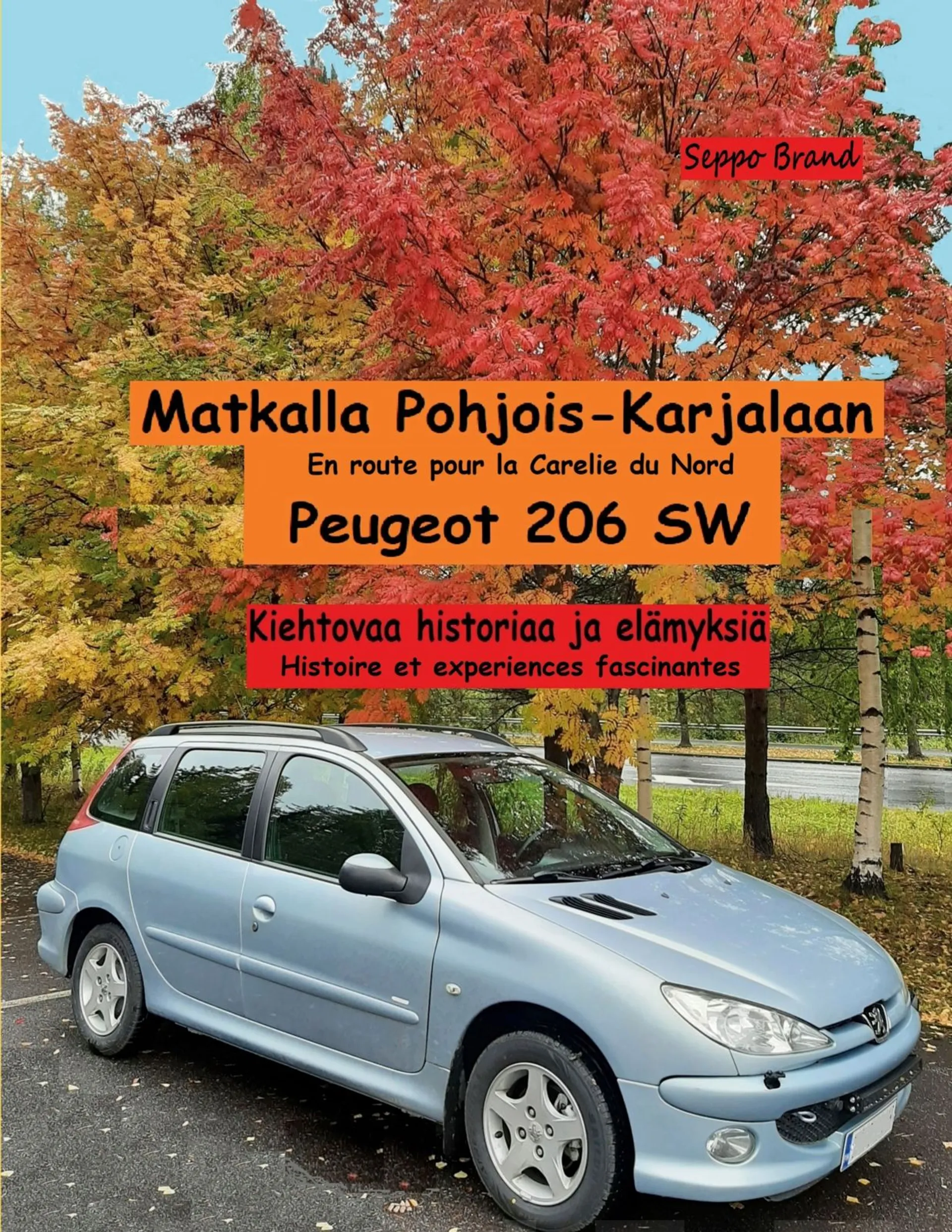 Brand, Matkalla Pohjois-Karjalaan - En route pour la Carelie du Nord - Peugeot 206 SW