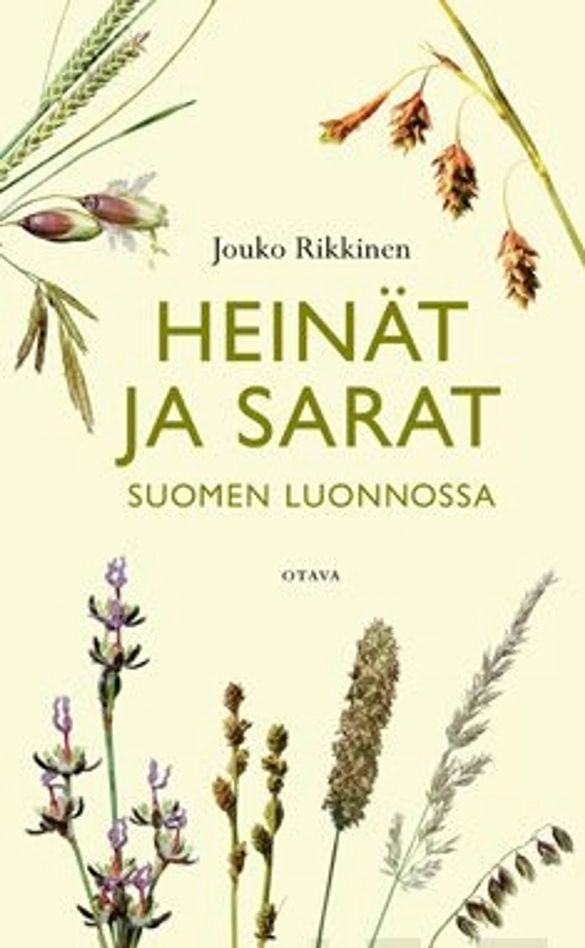 Rikkinen, Heinät ja sarat Suomen luonnossa