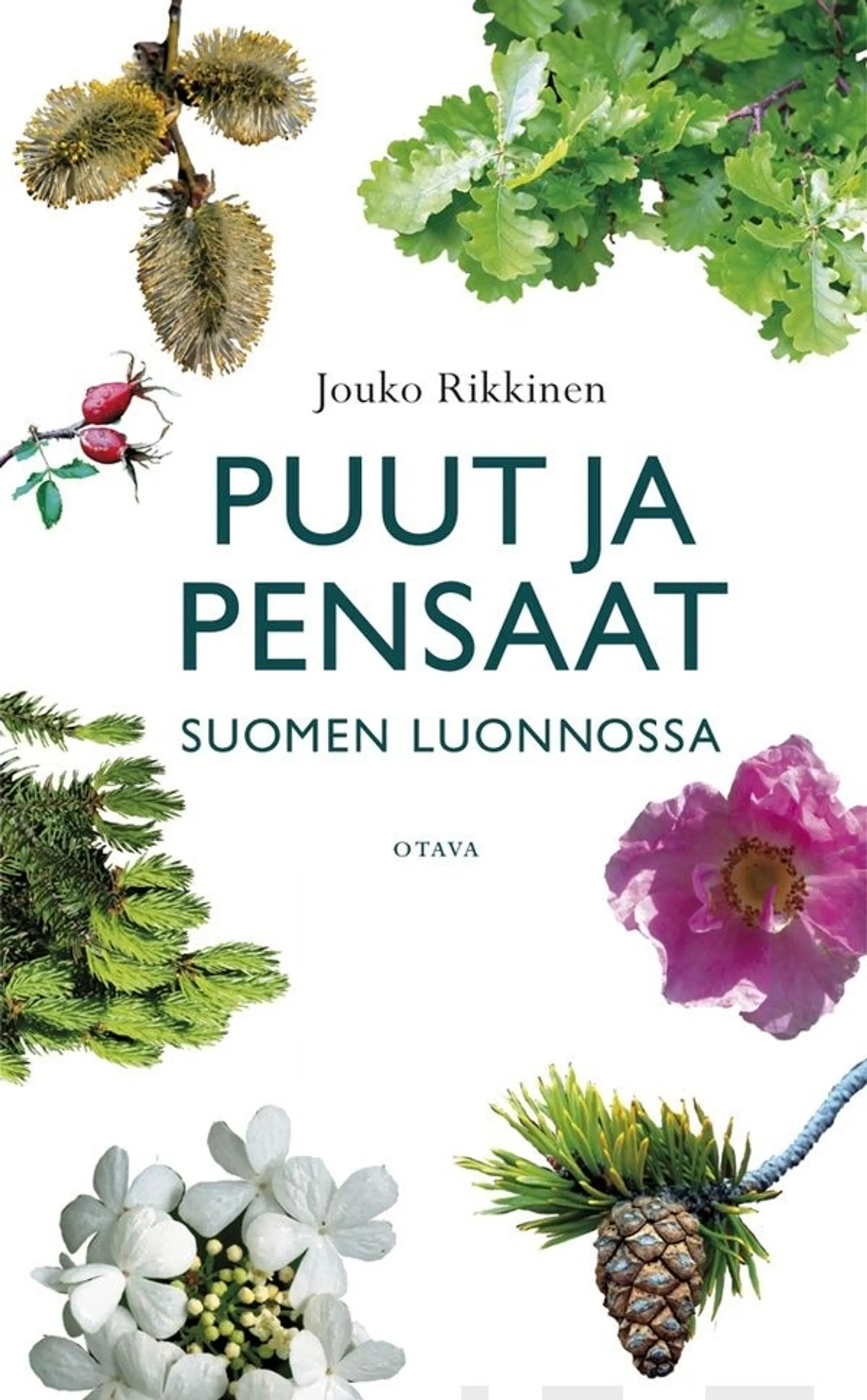 Rikkinen, Puut ja pensaat Suomen luonnossa