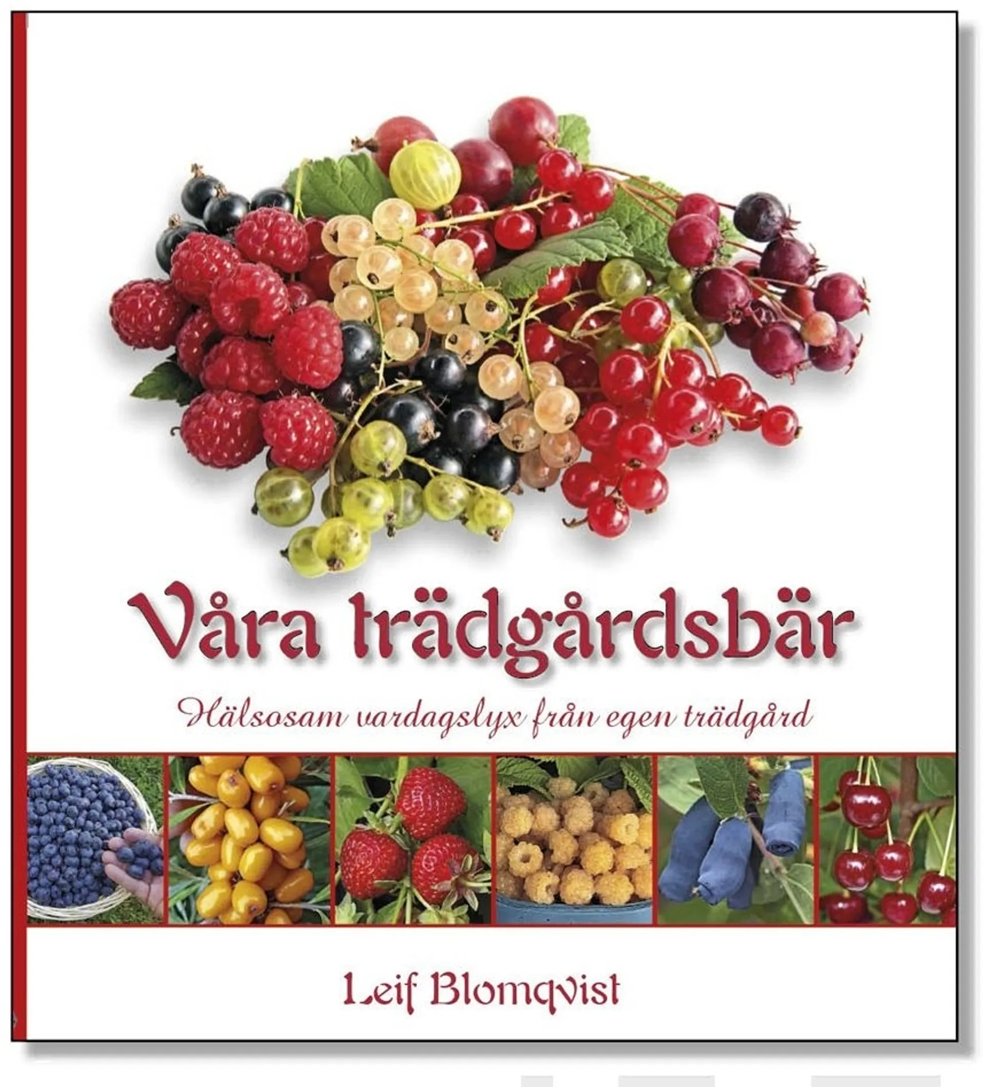 Blomqvist, Våra trädgårdsbär - Hälsosam vardagslyx från egen trädgård