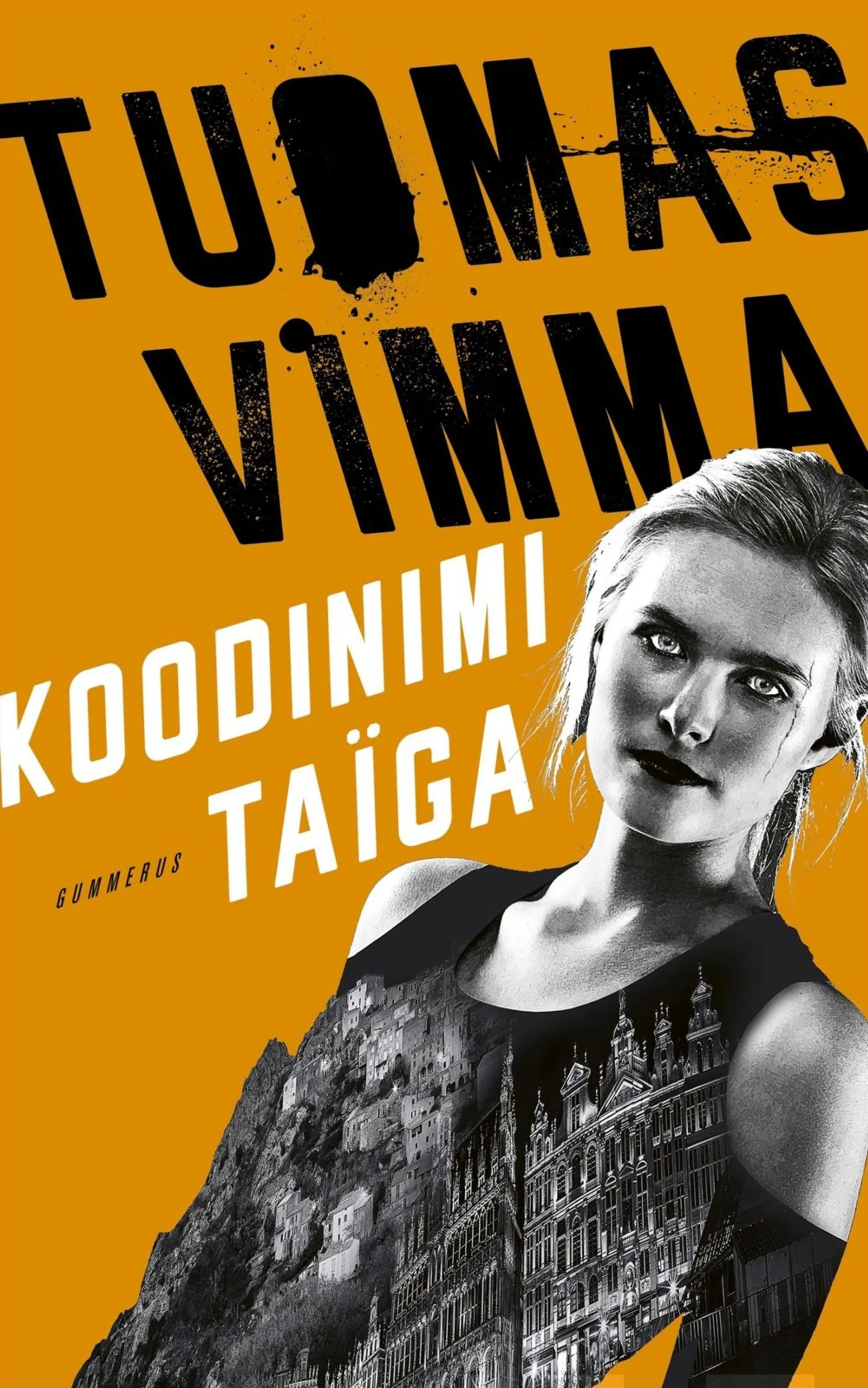 Vimma, Koodinimi Taïga