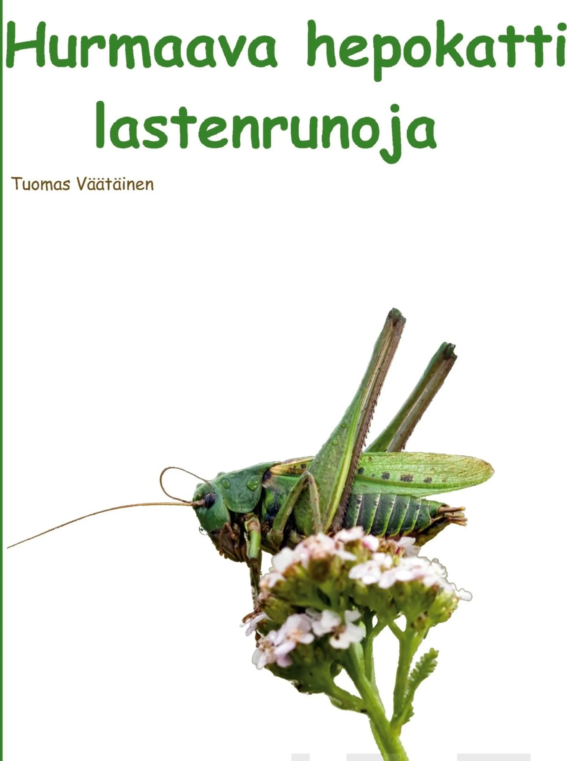 Väätäinen, Hurmaava hepokatti - Lastenrunoja