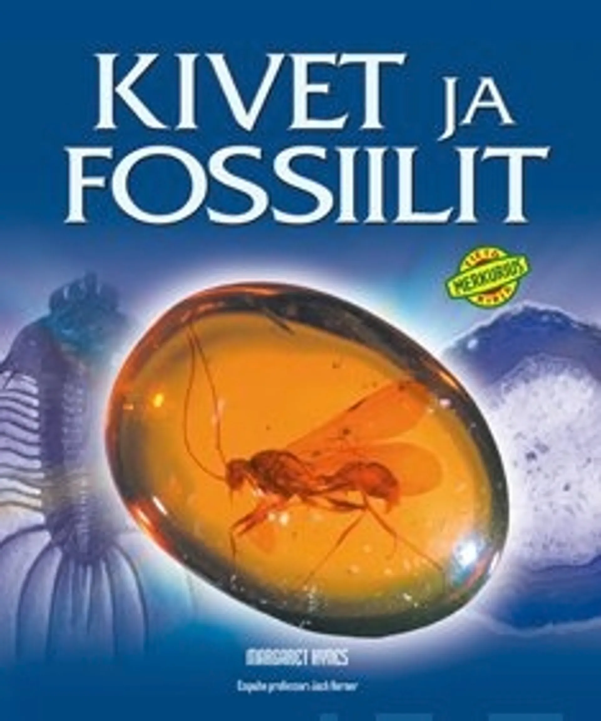 Kivet ja fossiilit