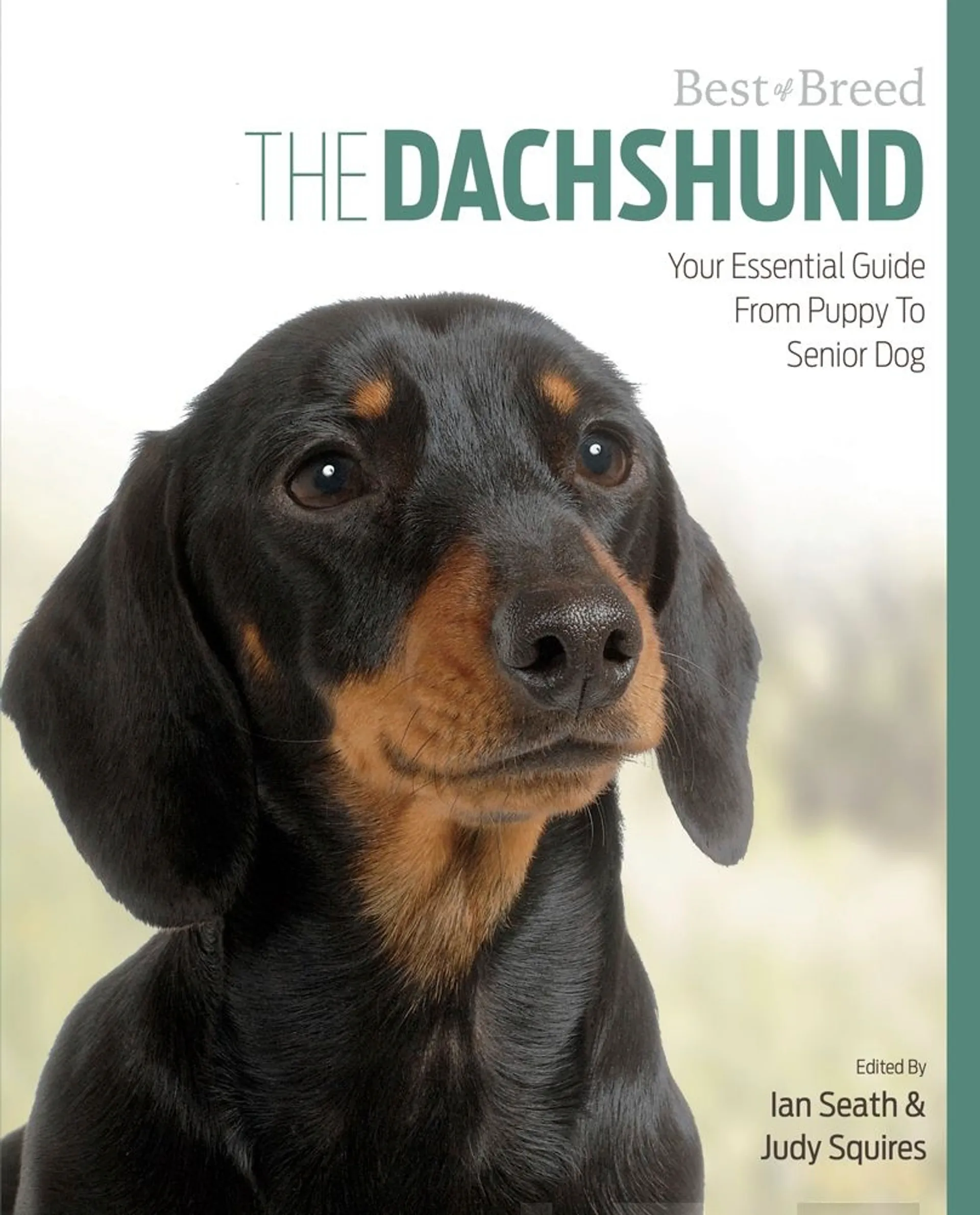 Seath, The Dachshund - Your Essential Guide From Puppy to Senior Dog