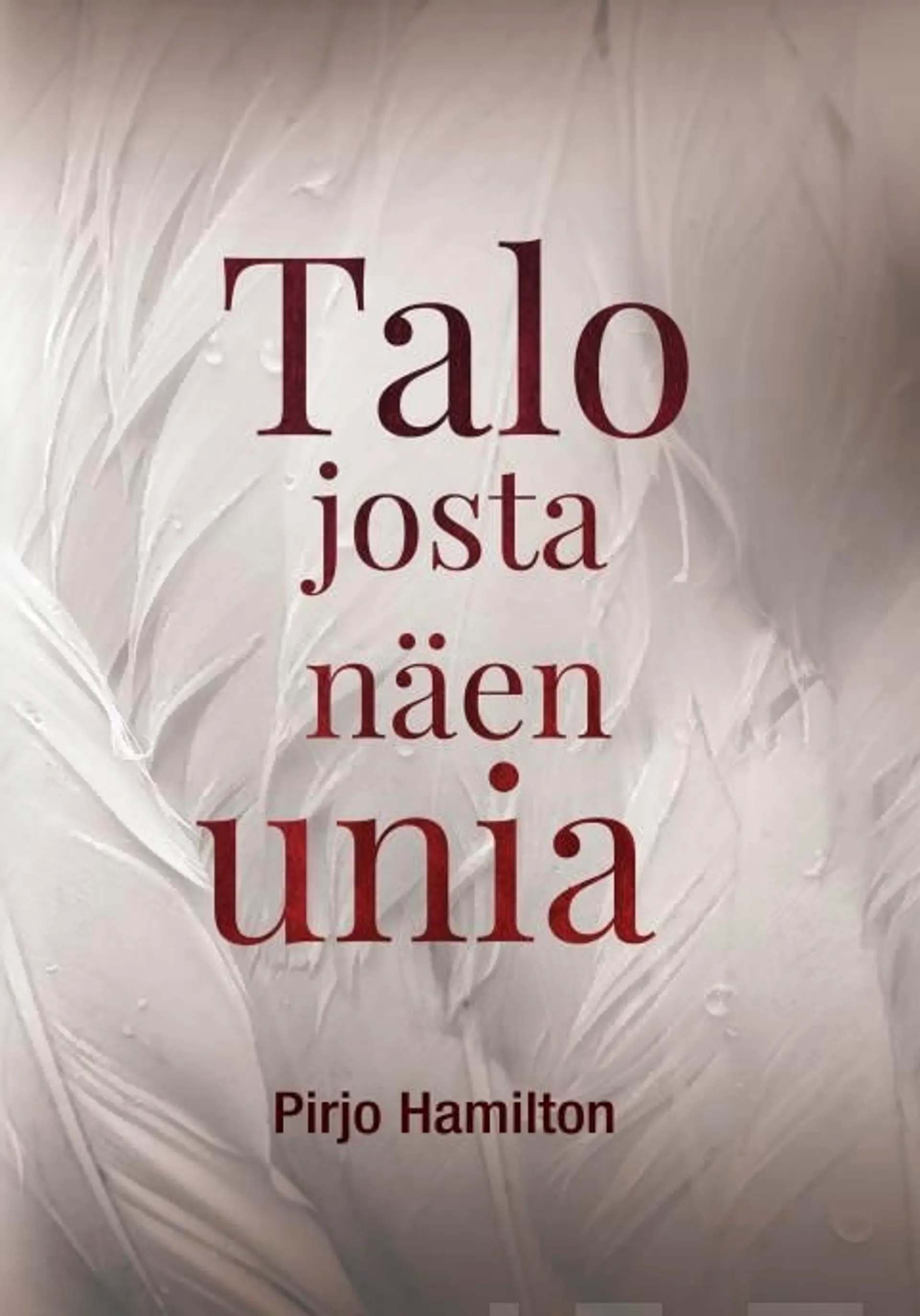 Pirjo Hamilton, Talo josta näen unia