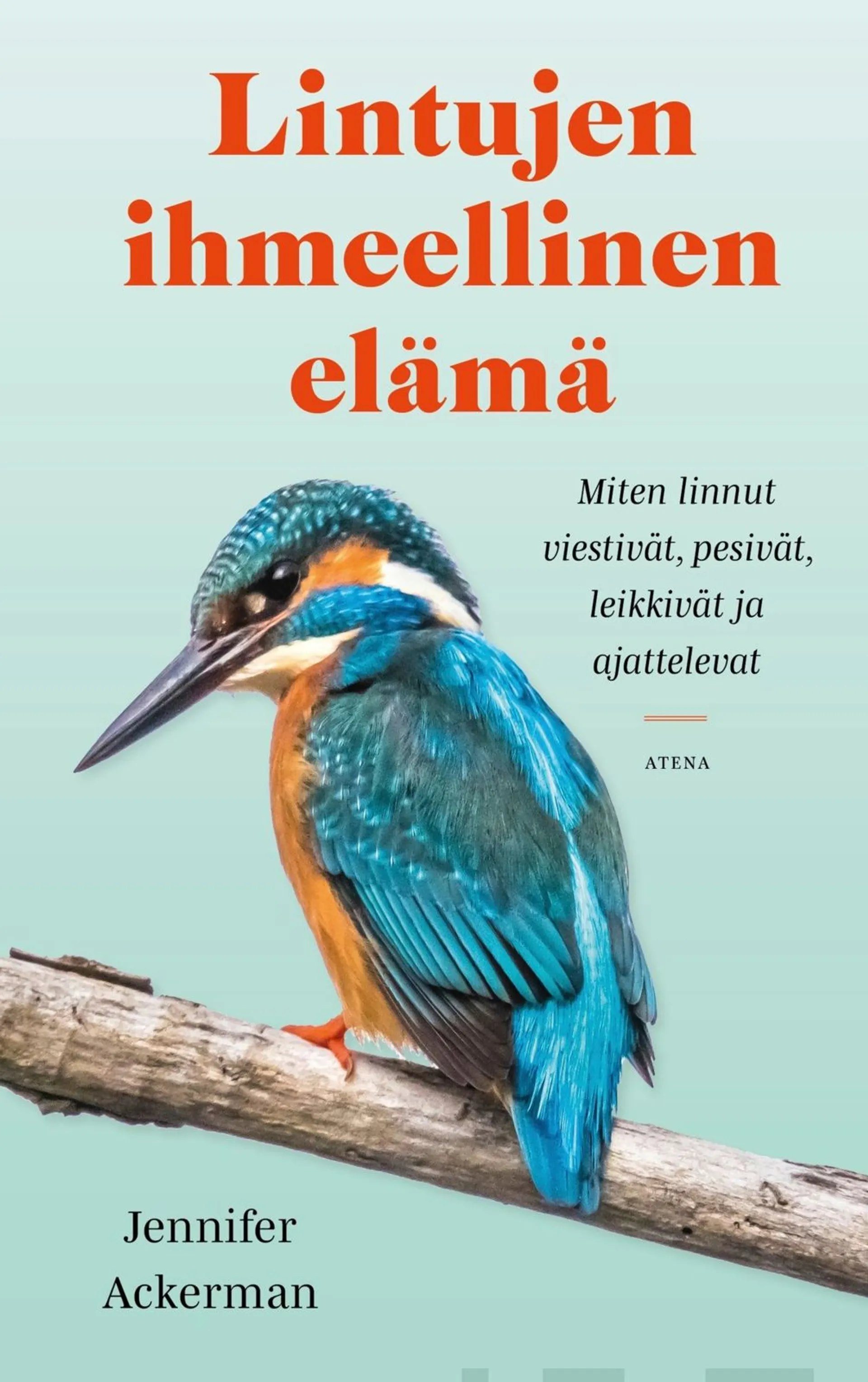 Ackerman, Lintujen ihmeellinen elämä - Miten linnut viestivät, pesivät, leikkivät ja ajattelevat