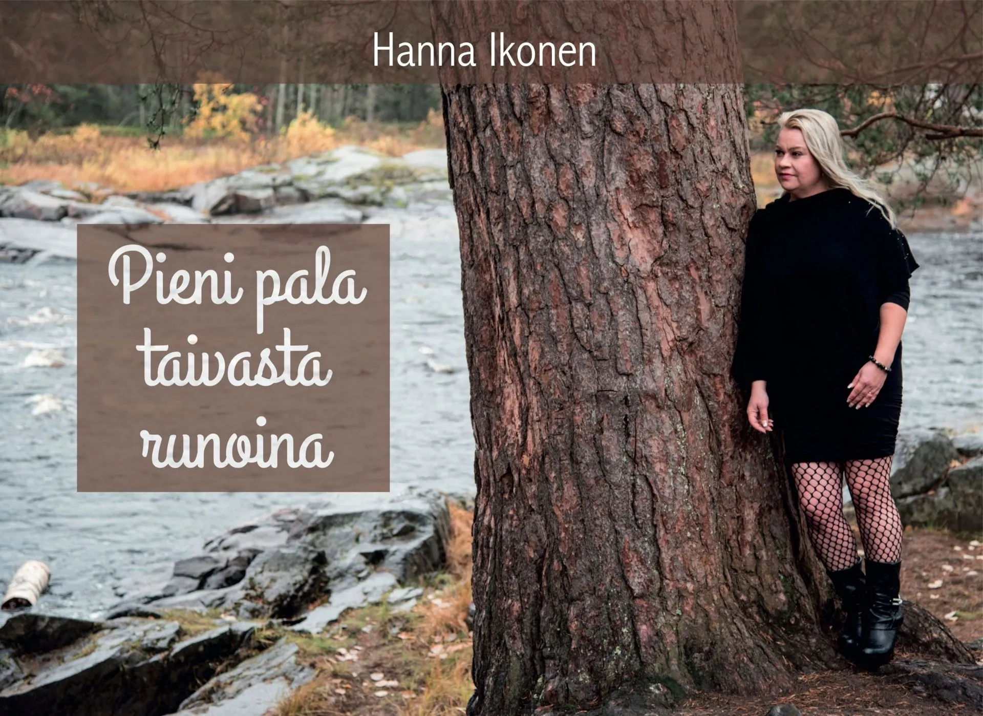 Ikonen, Pieni pala taivasta runoina