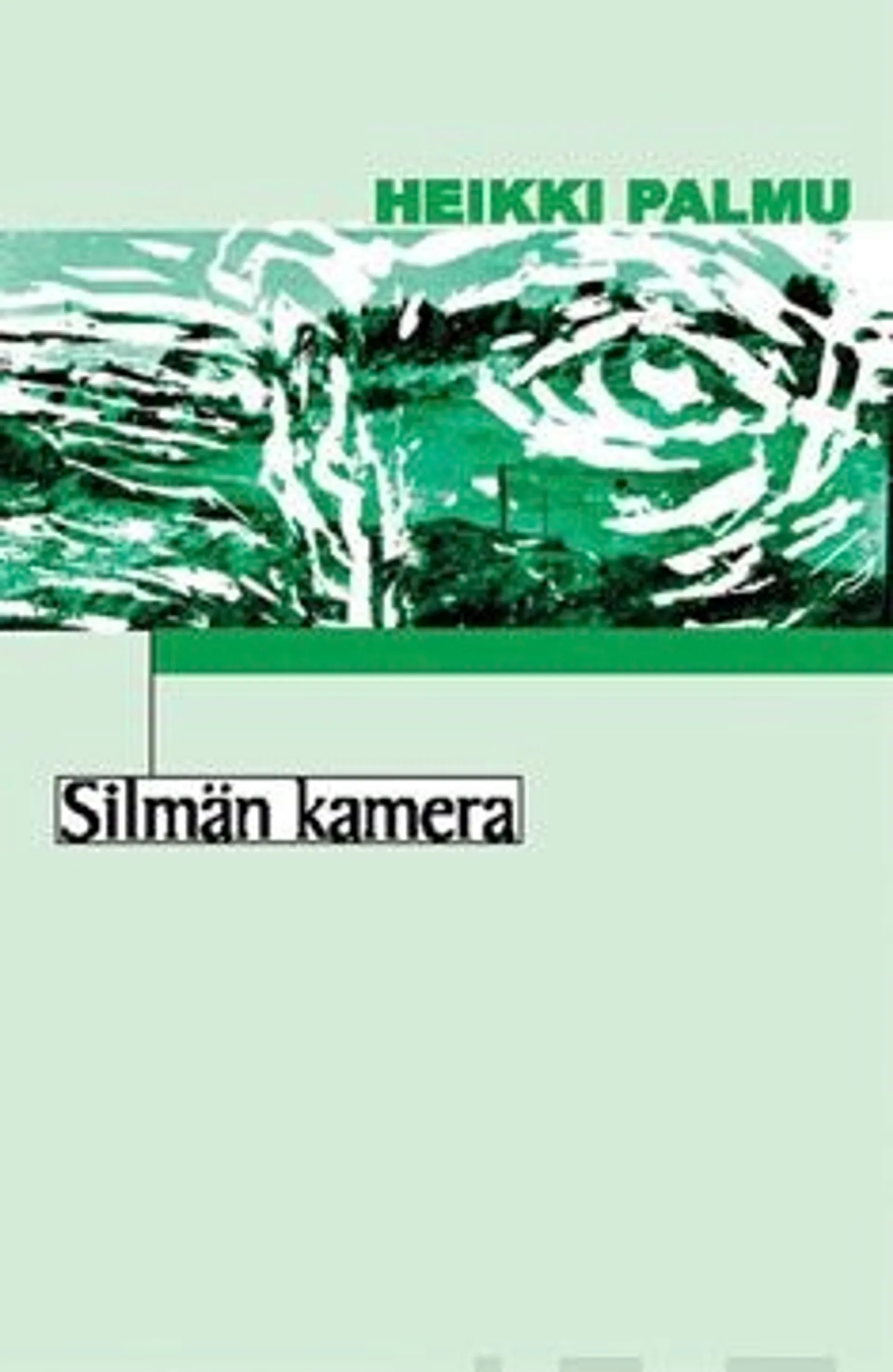 Palmu, Silmän kamera - romaani