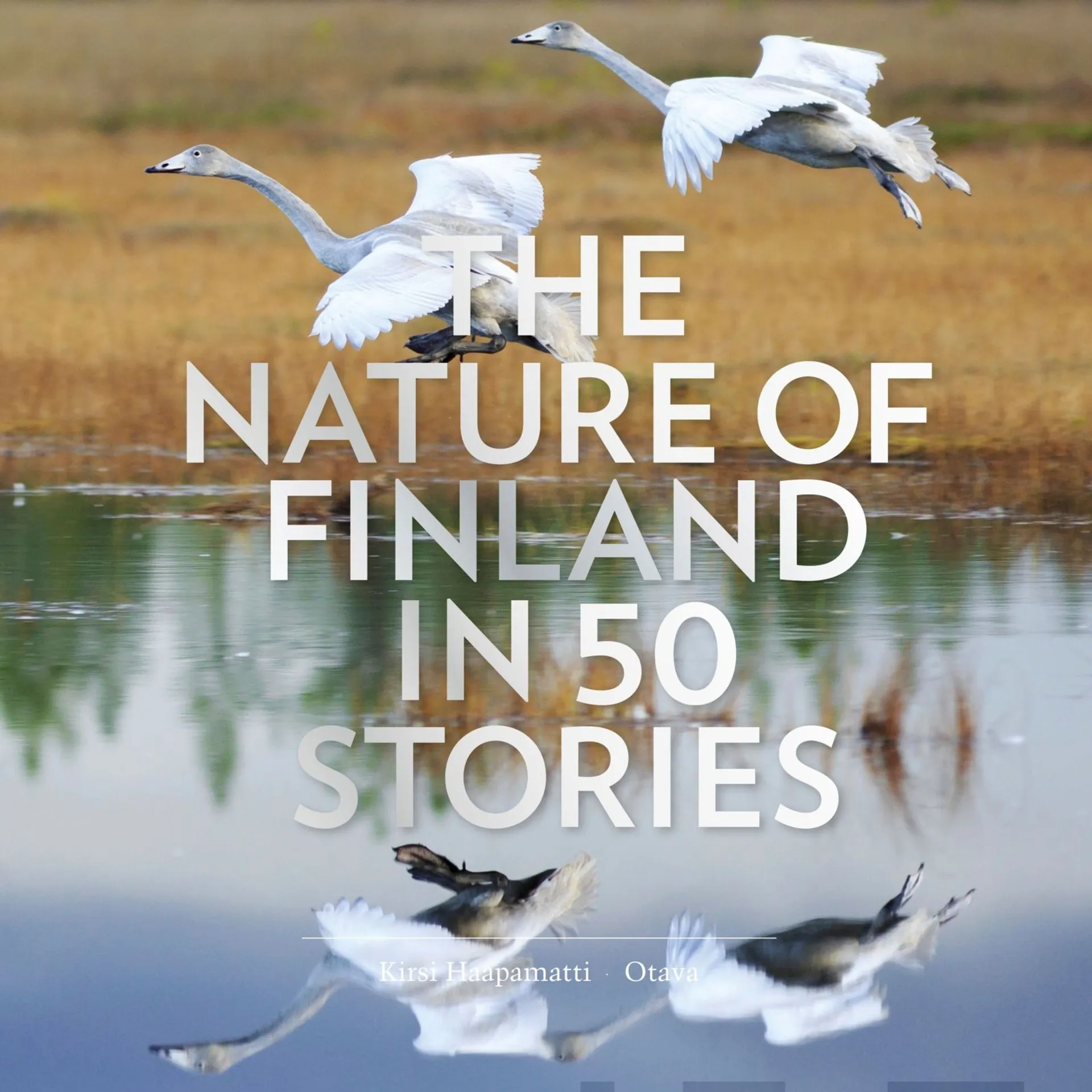 Haapamatti, The Nature of Finland in 50 Stories