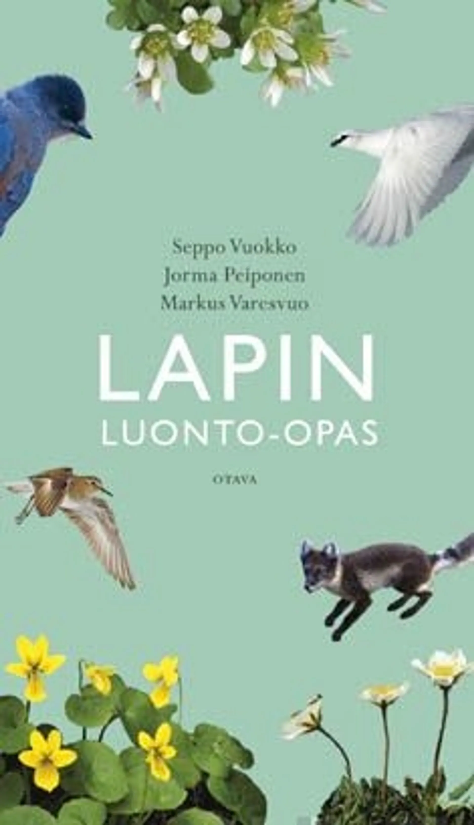 Vuokko, Lapin luonto-opas