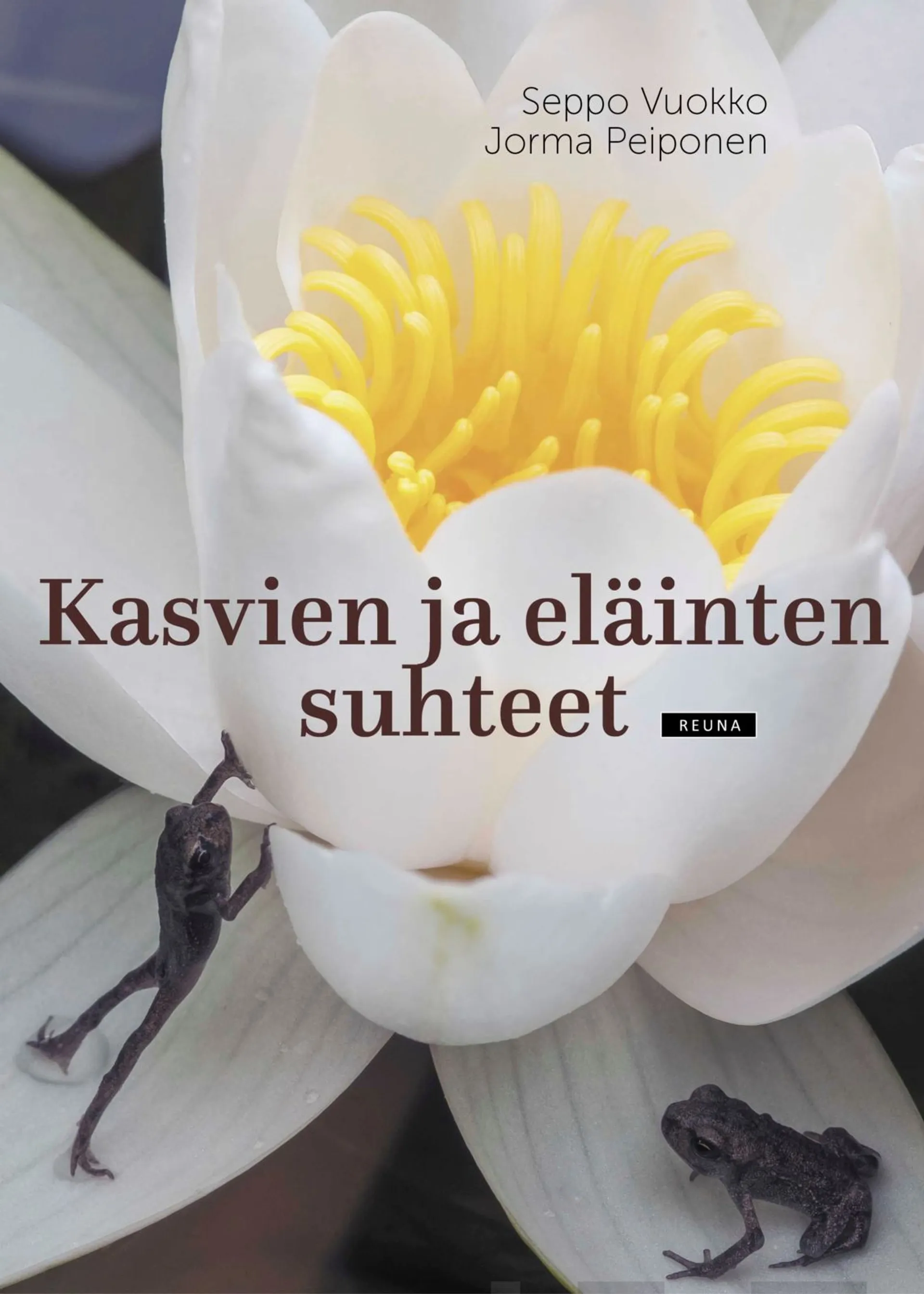 Vuokko, Kasvien ja eläinten suhteet