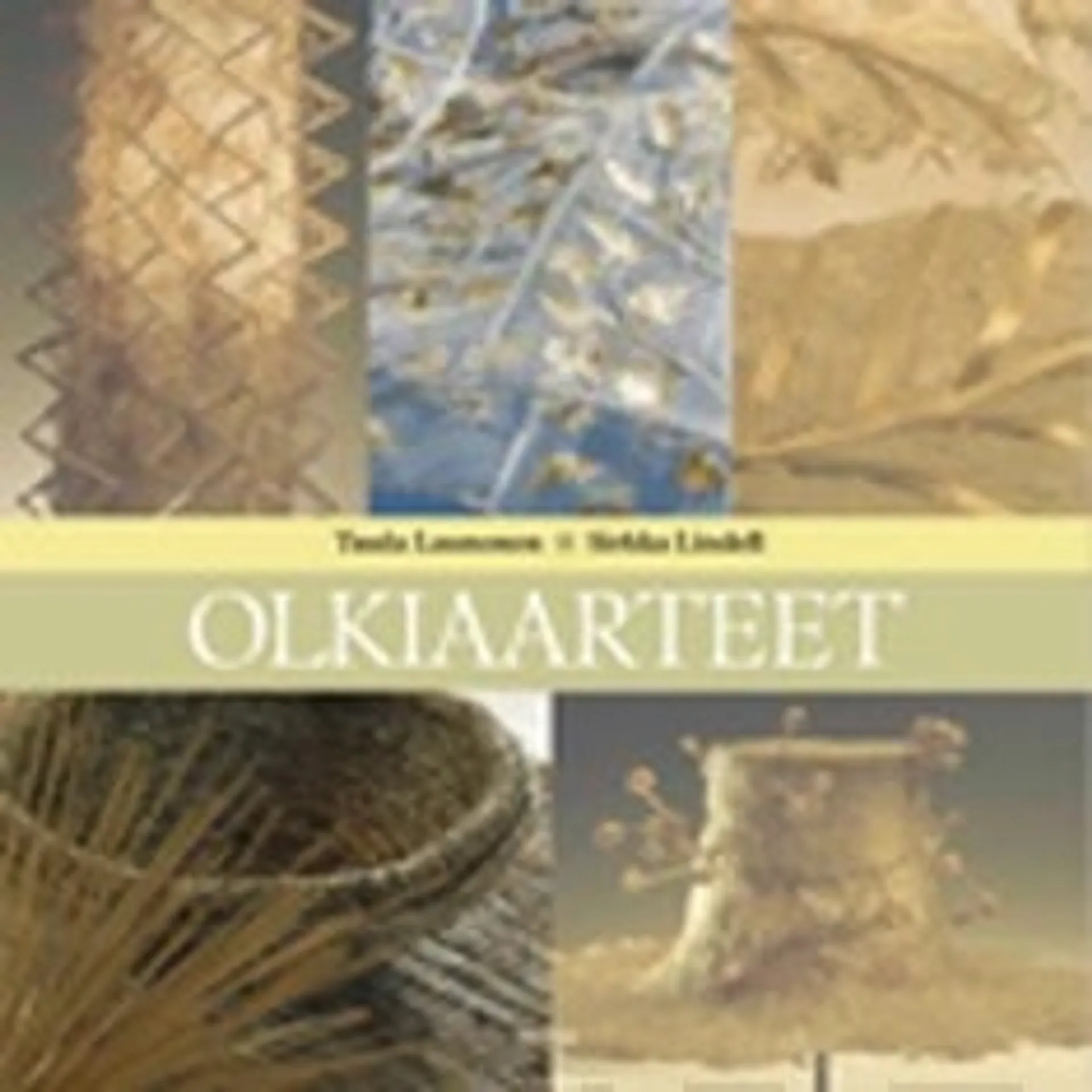 Olkiaarteet