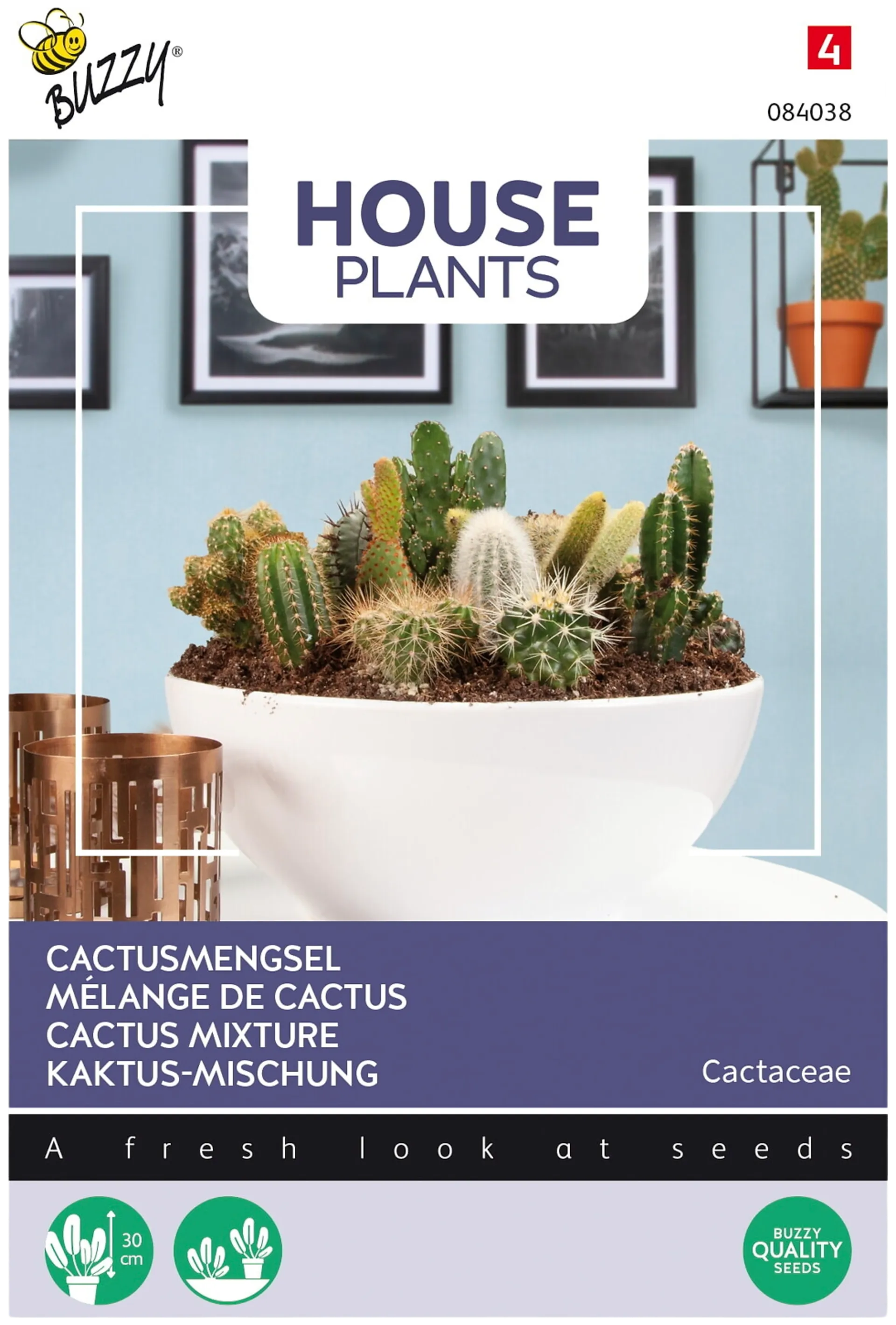Buzzy® House plants Cactaceae, kaktussekoitus