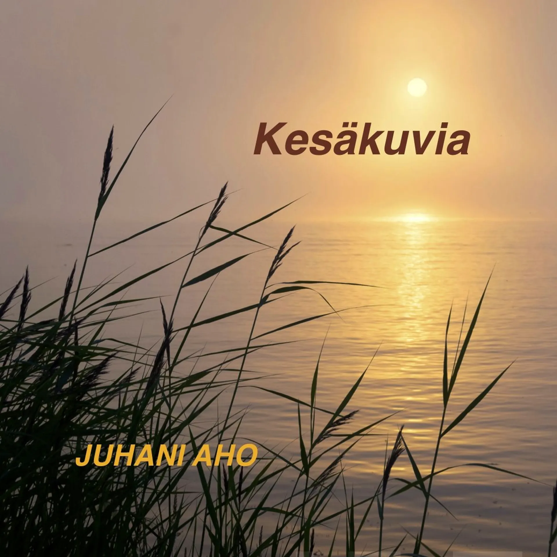 Aho, Kesäkuvia (MP3-cd)