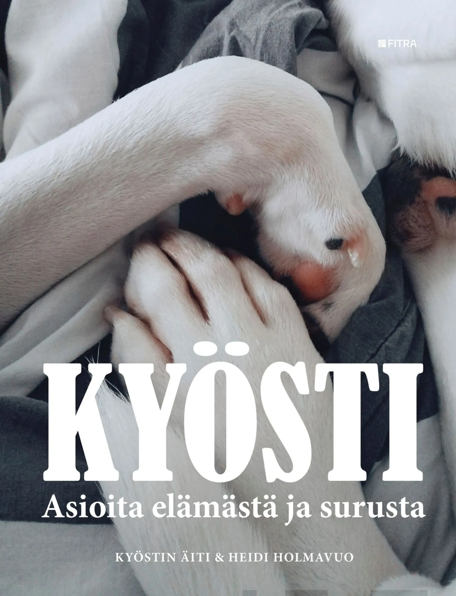 Holmavuo, Kyösti - Asioita elämästä ja surusta