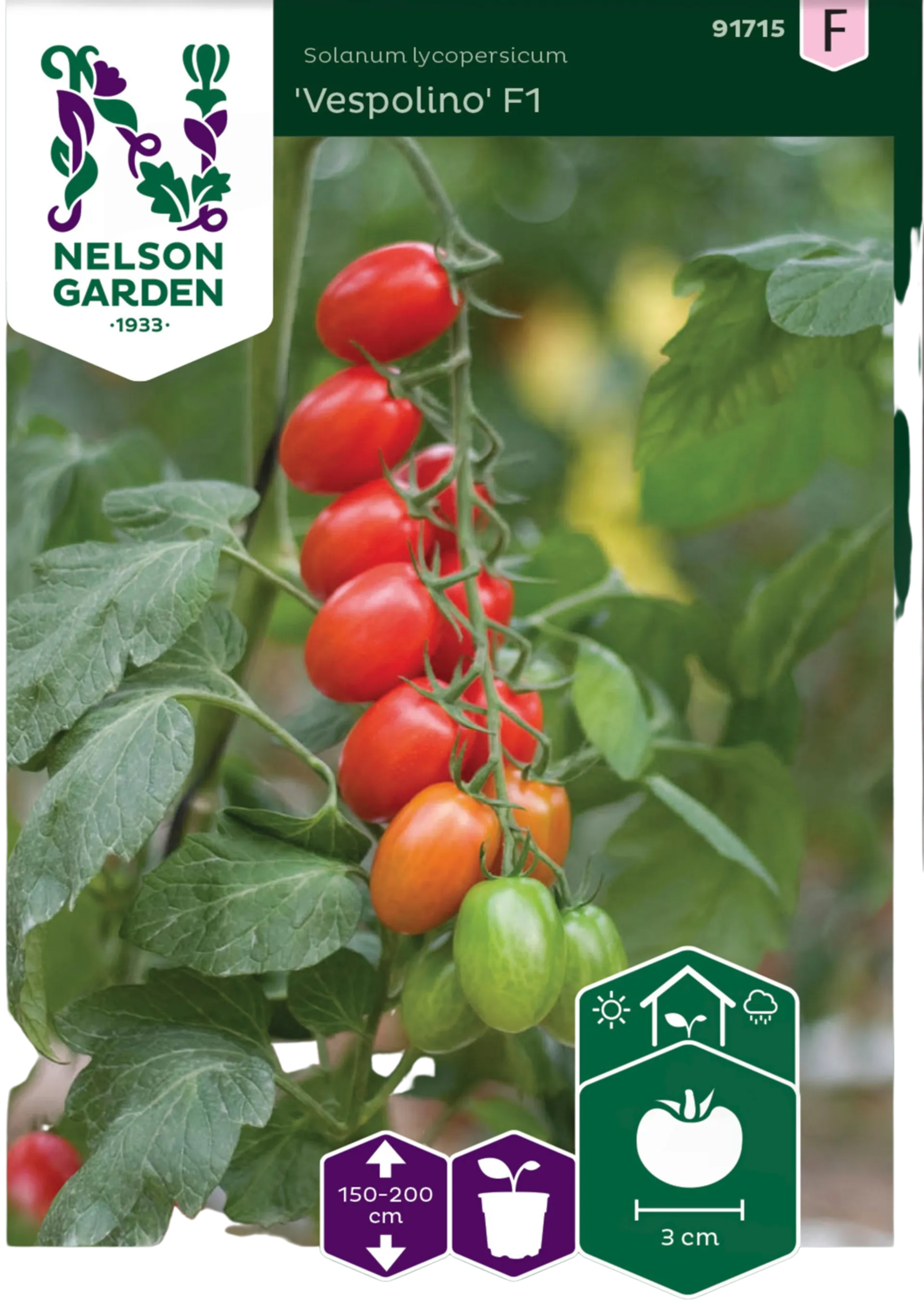 Nelson Garden Siemen Tomaatti, Kirsikka-, Vespolino F1