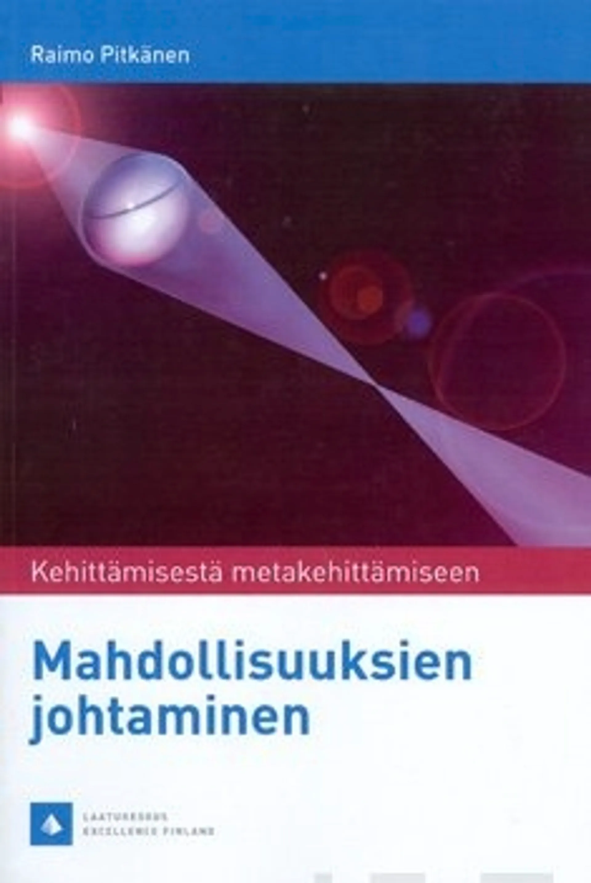 Mahdollisuuksien johtaminen