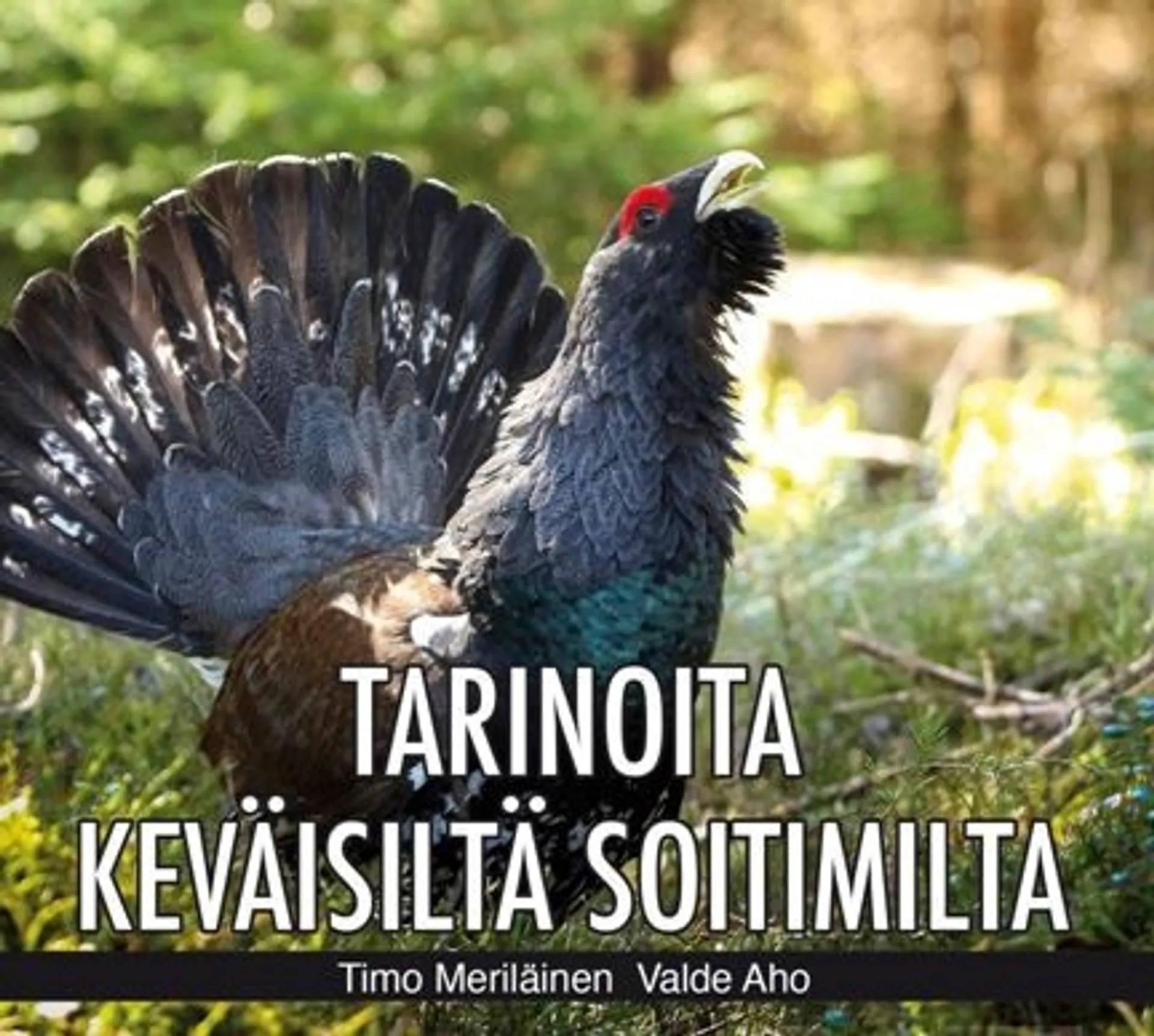 Aho, Tarinoita keväisiltä soitimilta (cd)