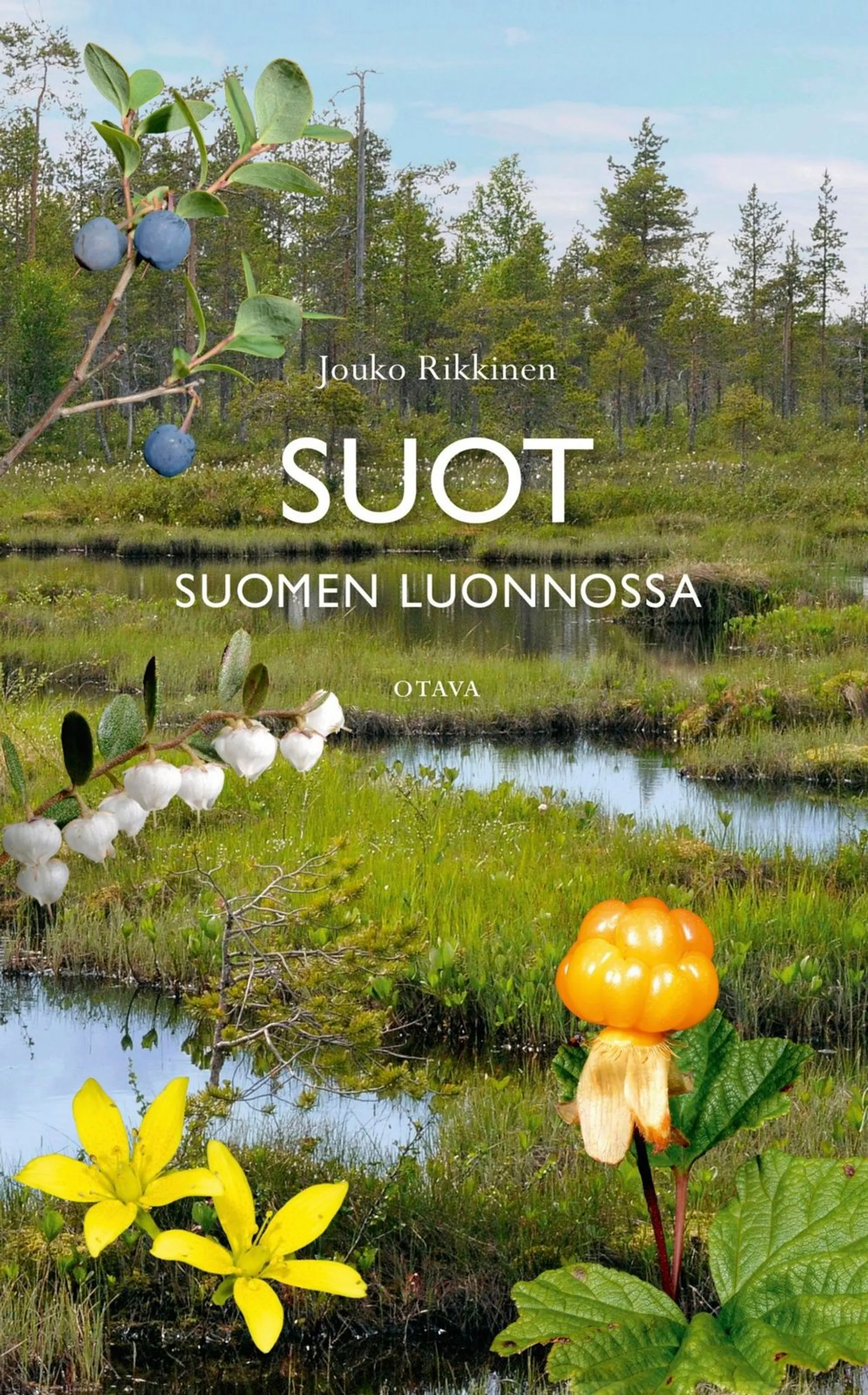 Rikkinen, Suot Suomen luonnossa