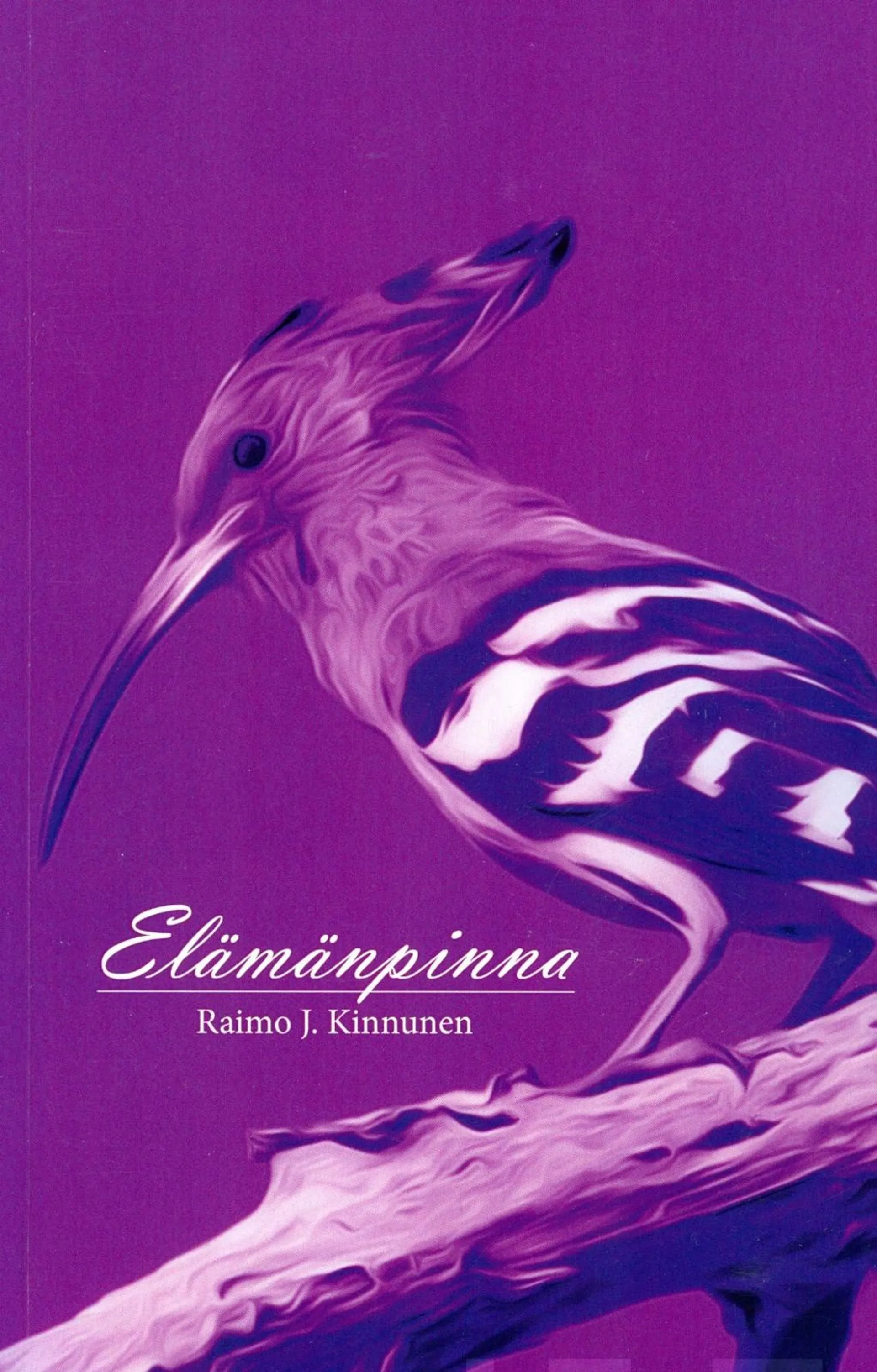 Kinnunen, Elämänpinna