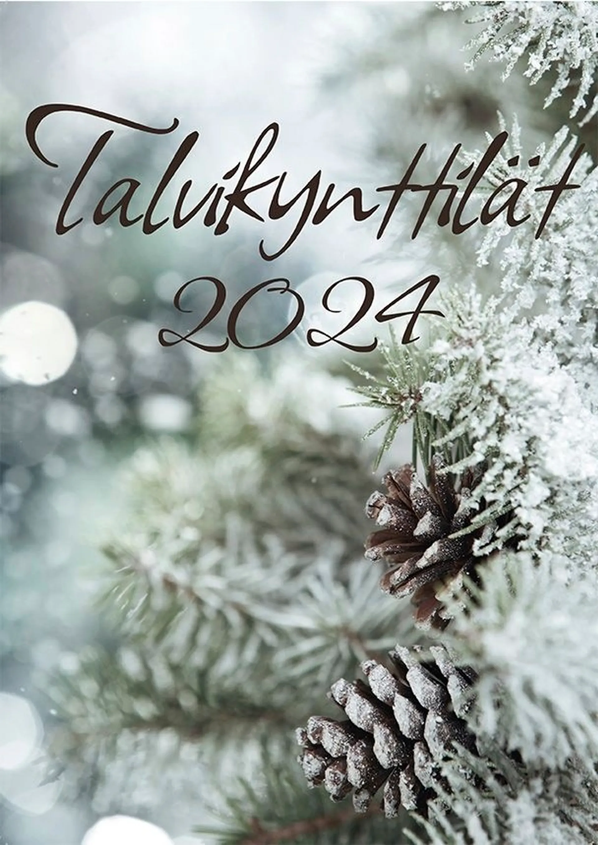 Talvikynttilät 2024