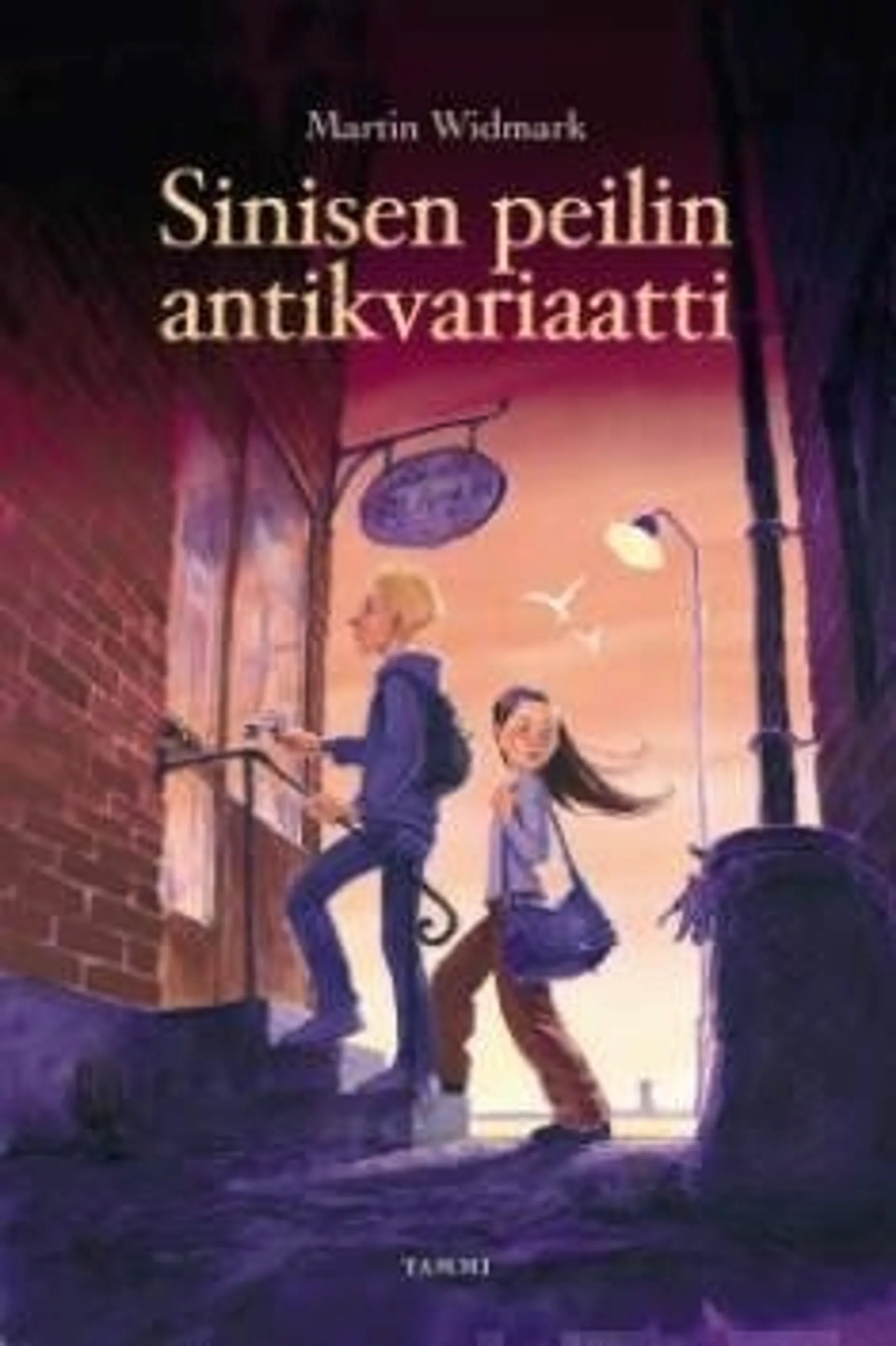 Sinisen peilin antikvariaatti