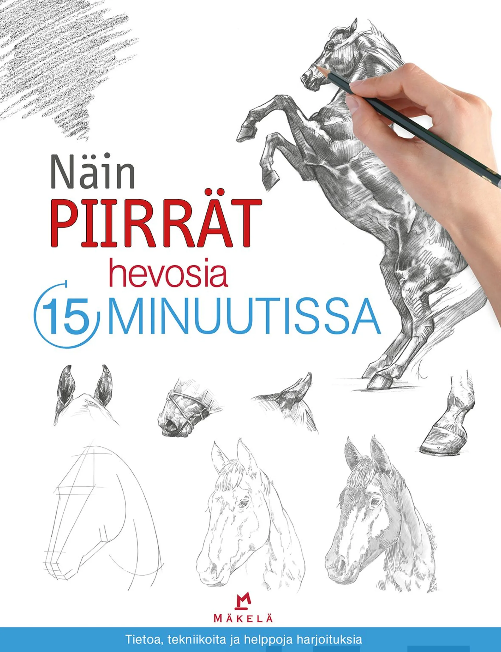 Näin piirrät hevosia 15 minuutissa