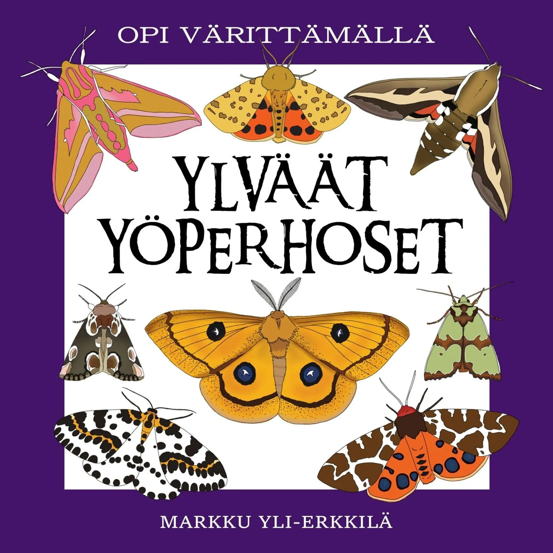 Yli-Erkkilä, Ylväät yöperhoset