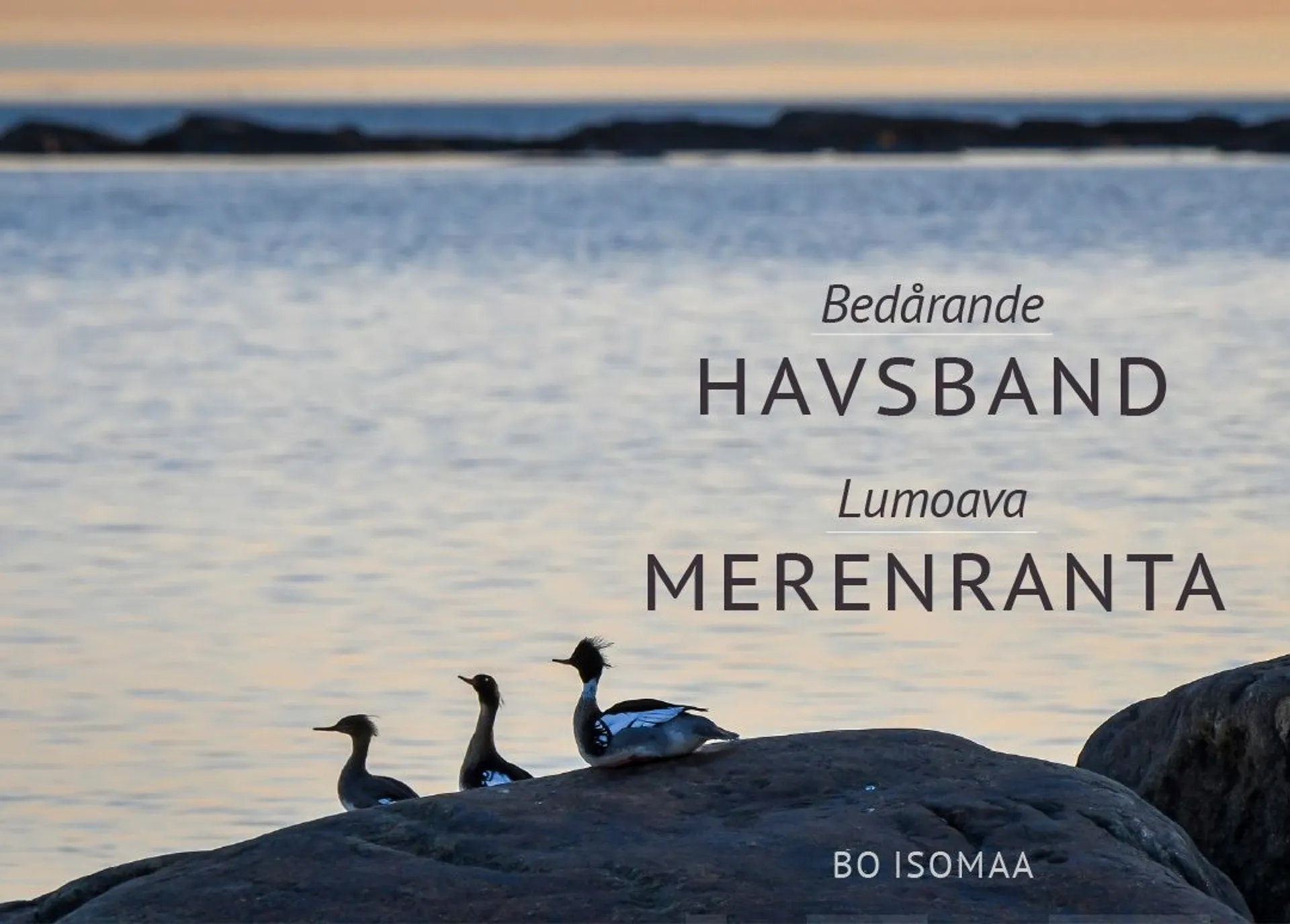 Bedårande Havsband - Lumoava Merenranta