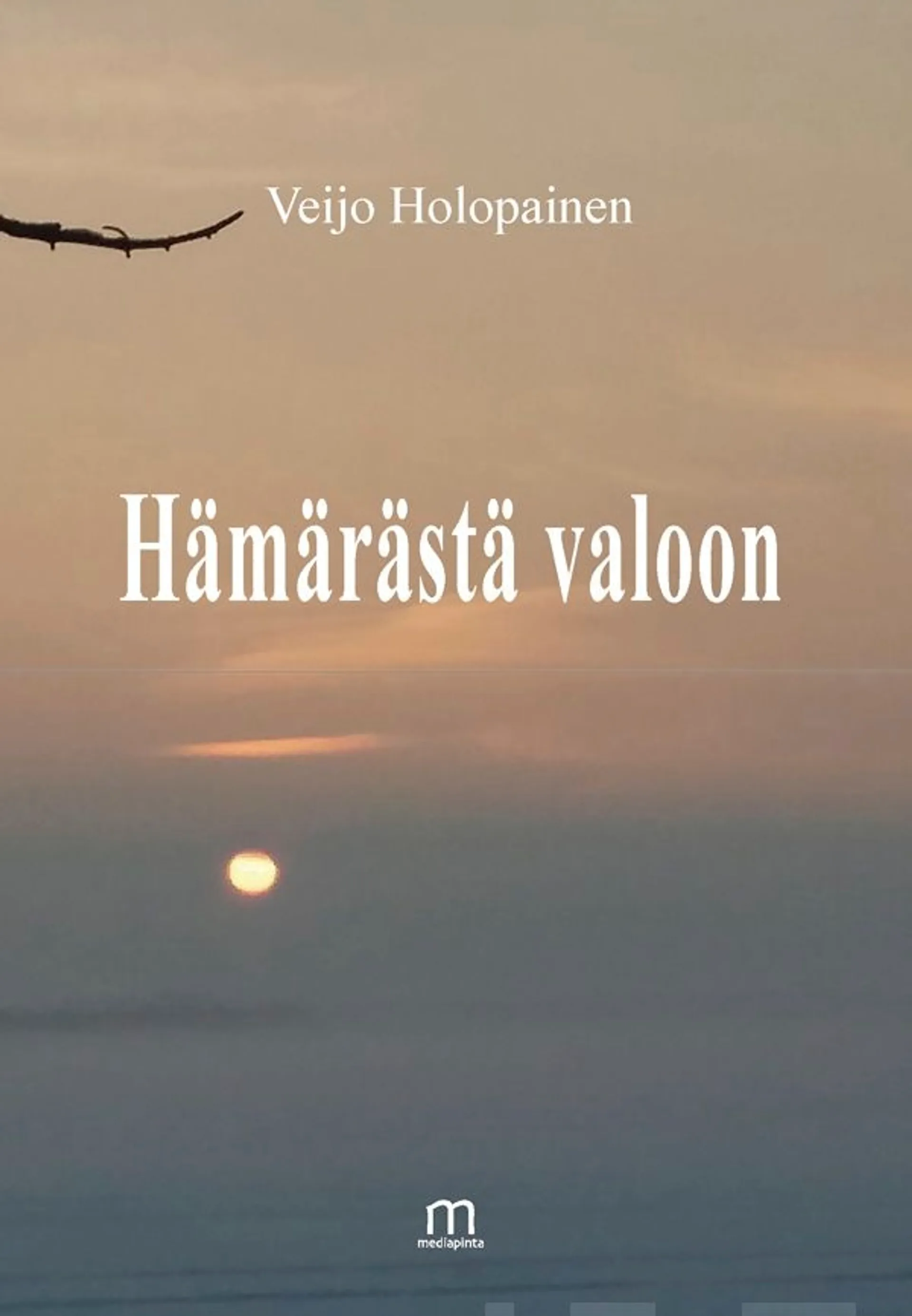 Holopainen, Hämärästä valoon