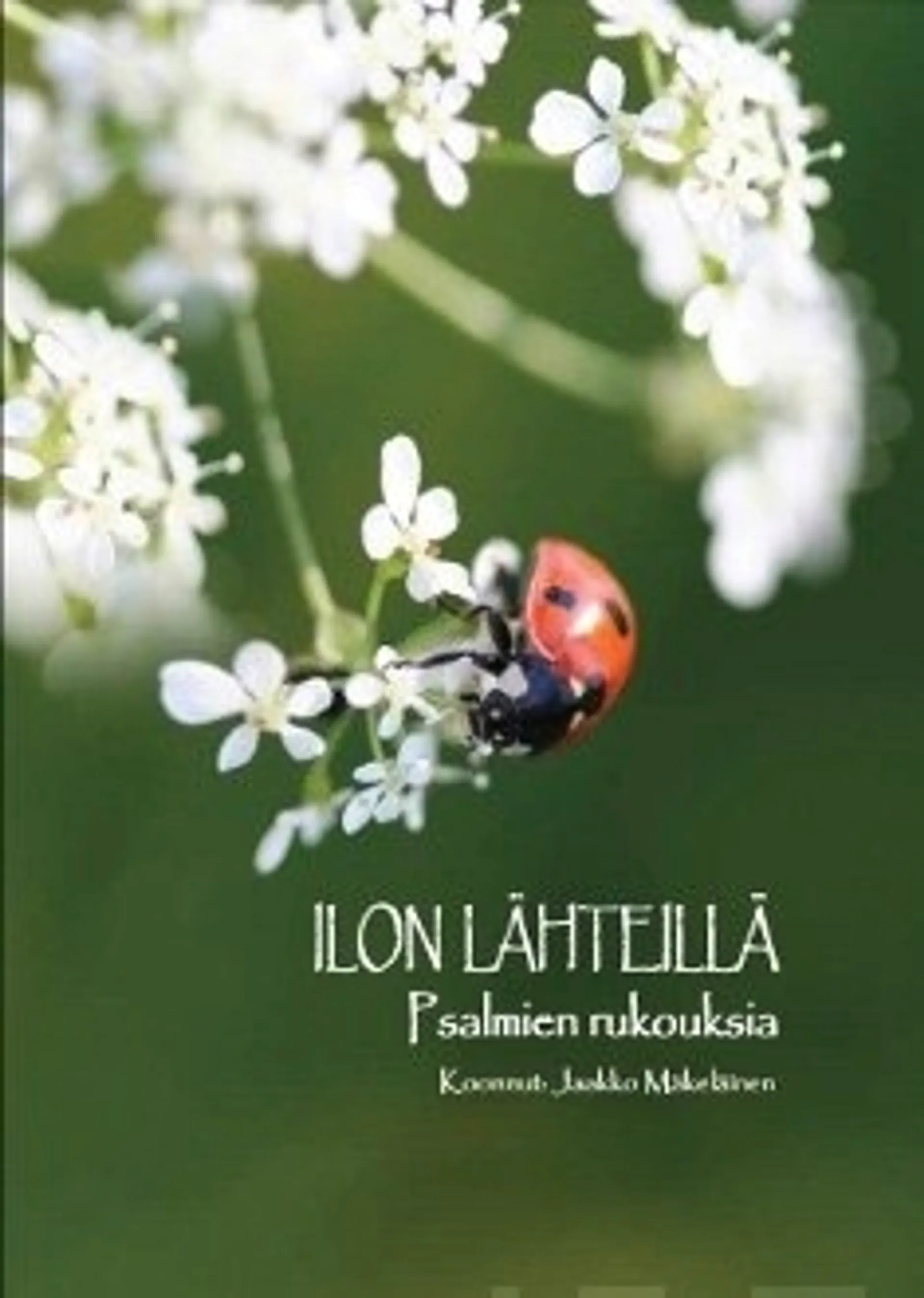 Ilon lähteillä