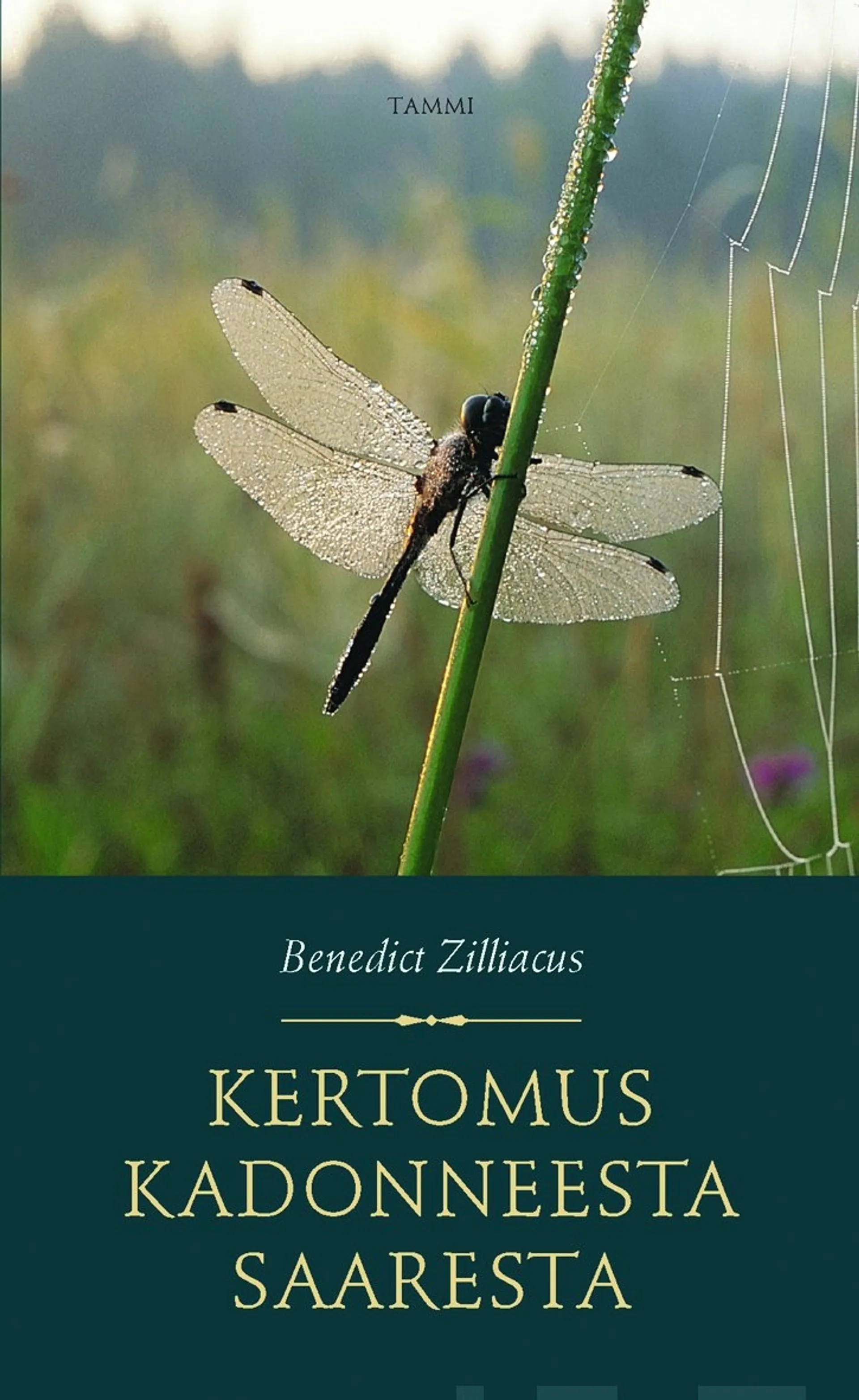 Kertomus kadonneesta saaresta