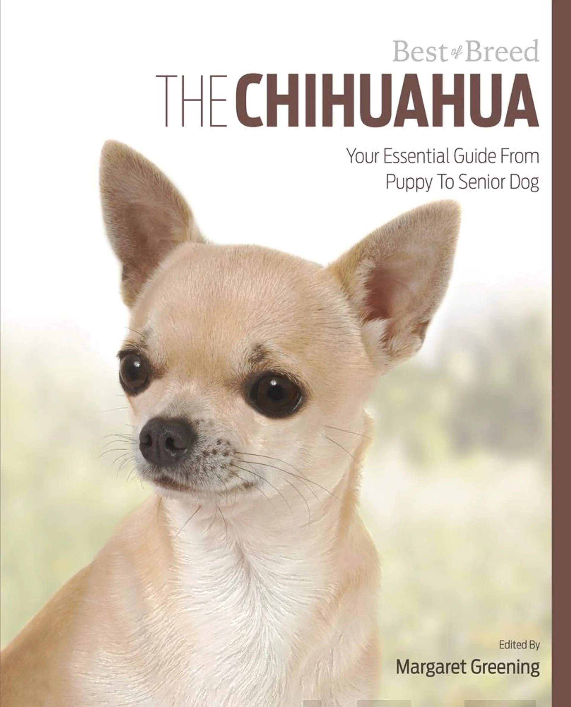 Greening, The Chihuahua - Your Essential Guide From Puppy to Senior Dog