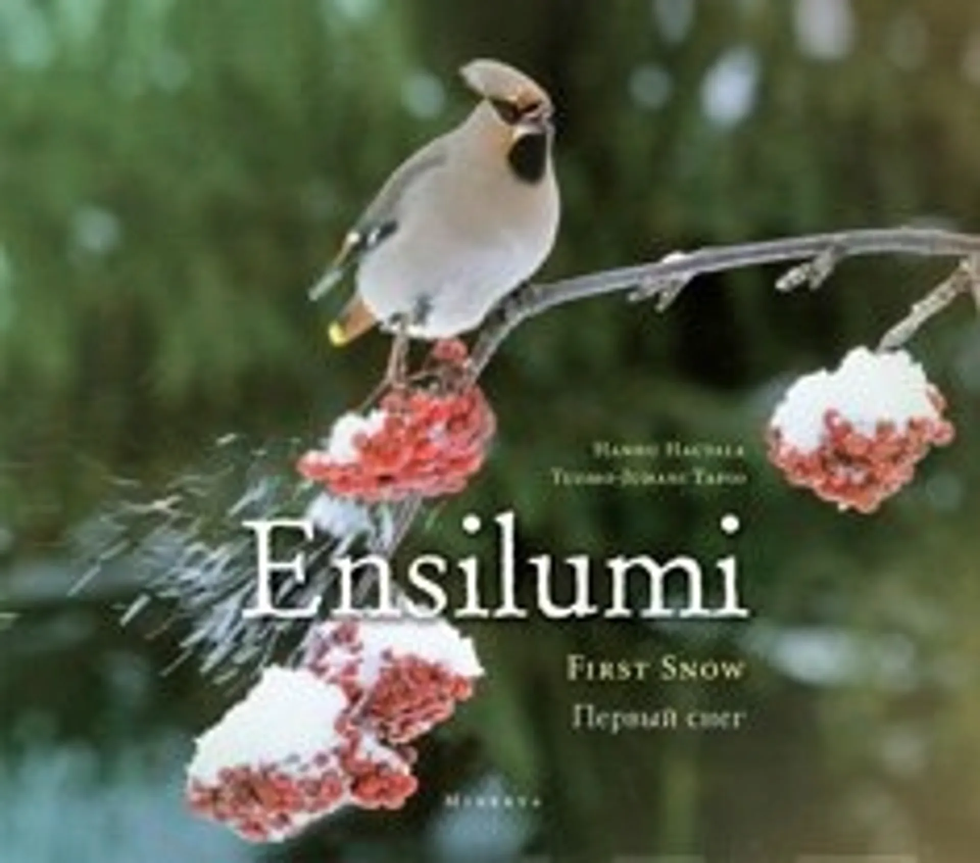 Ensilumi