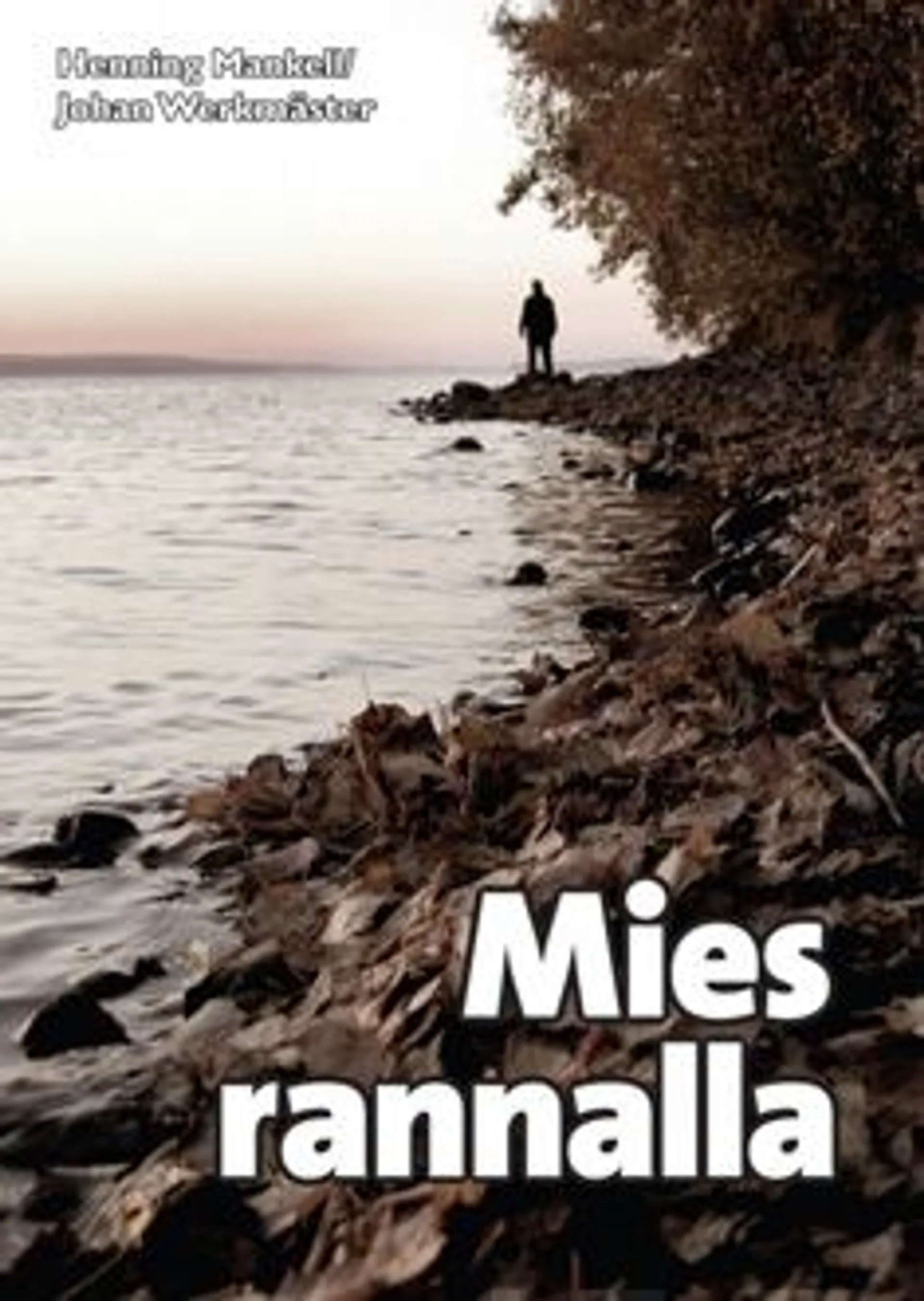 Mankell, Mies rannalla (selkokielinen)