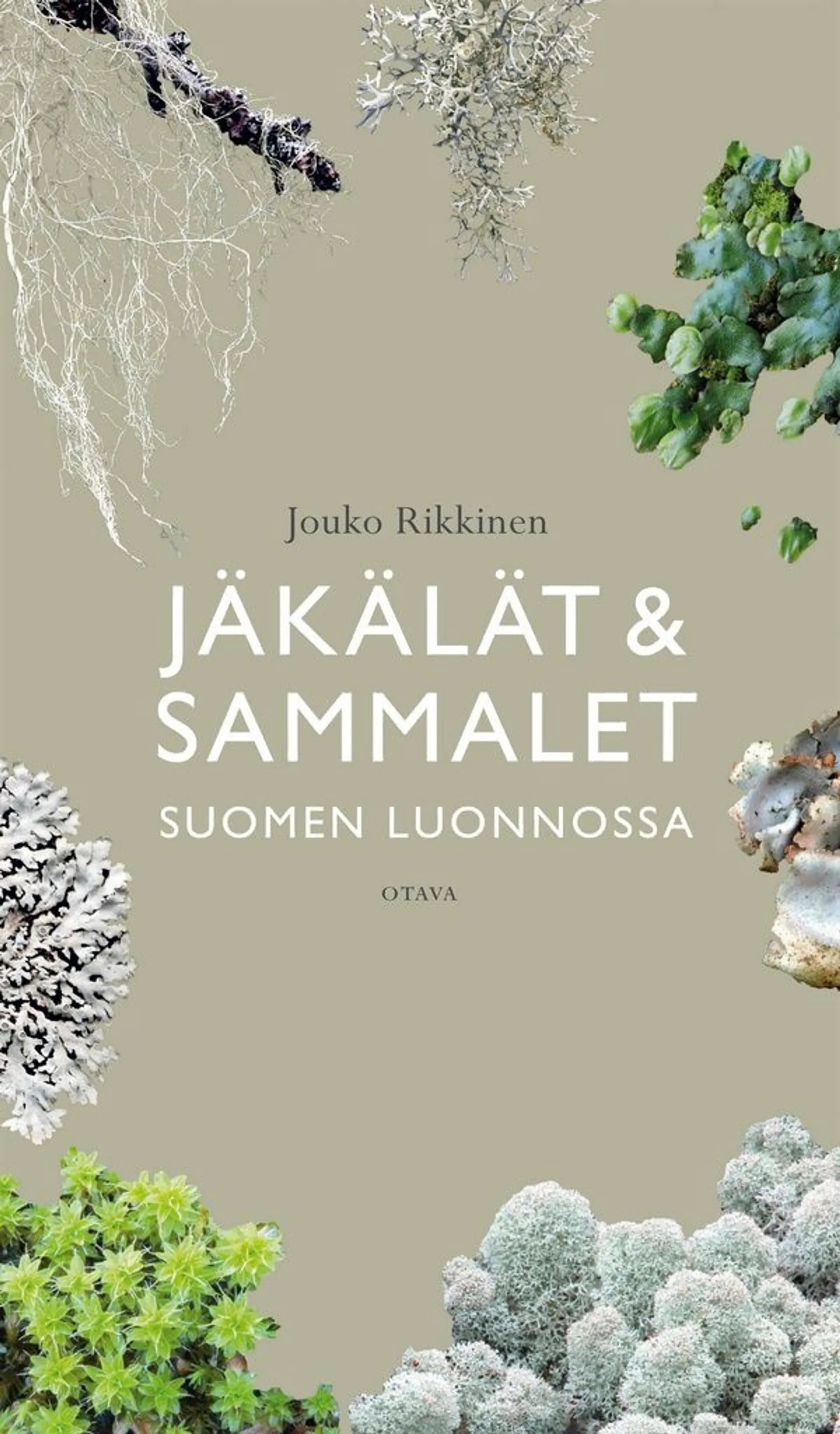 Rikkinen, Jäkälät ja sammalet Suomen luonnossa