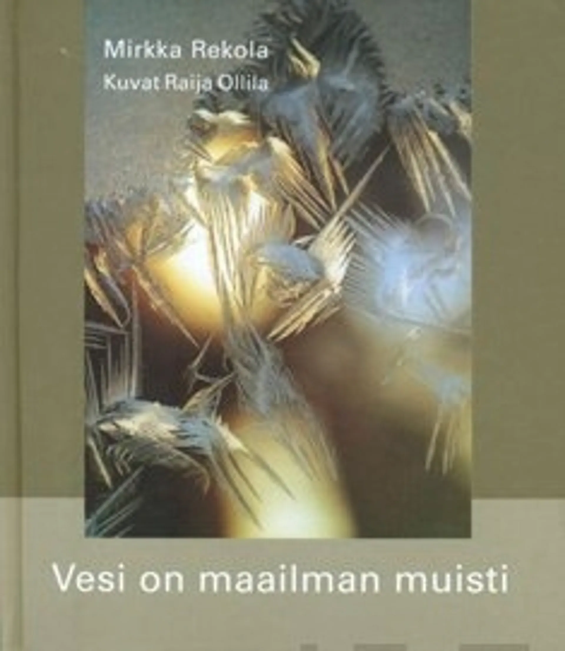 Vesi on maailman muisti