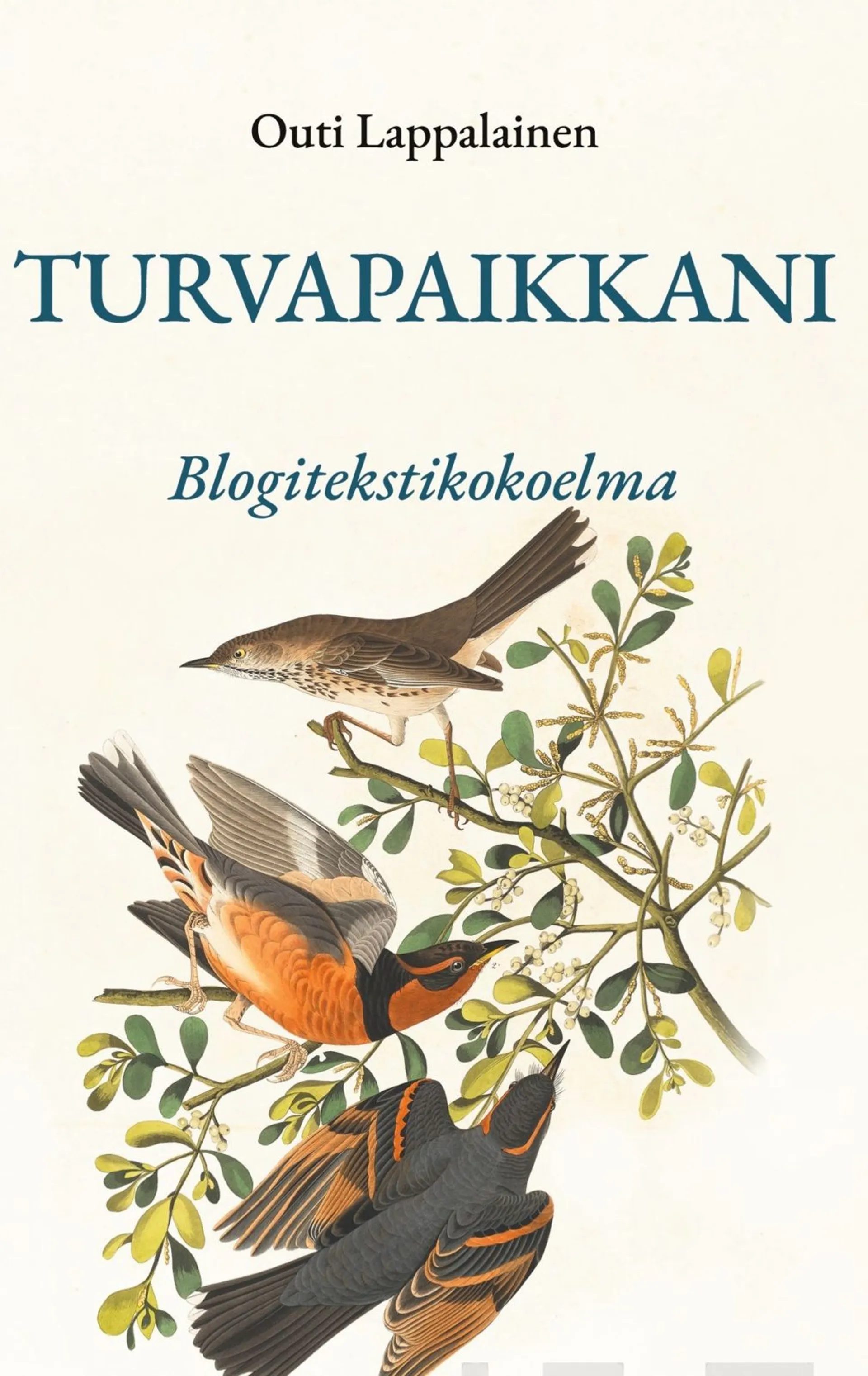 Lappalainen, Turvapaikkani - Blogitekstikokoelma